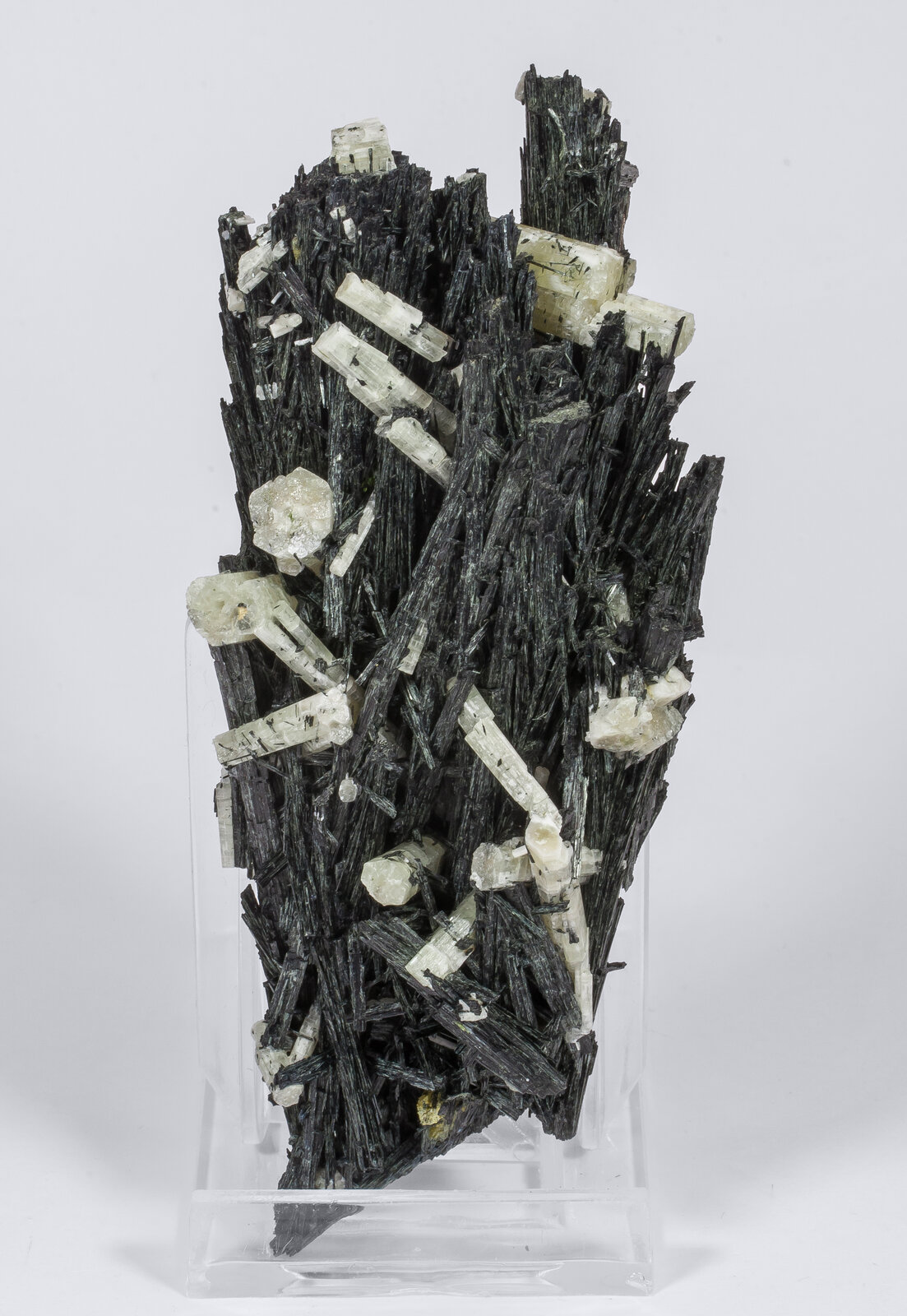 specimens/s_imagesAN3/Chlorapatite-TBE27AN3r.jpg