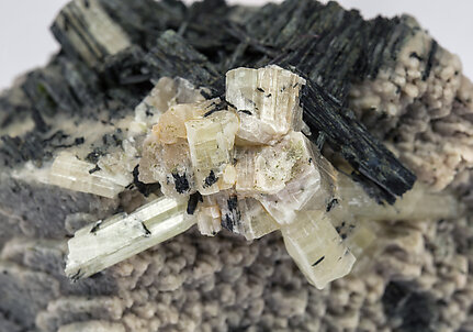 Chlorapatite on Ferro-actinolite with Microcline. 