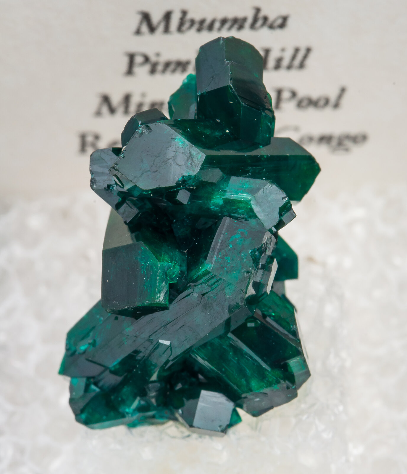 specimens/s_imagesAN3/Dioptase-TTP16AN3f2.jpg