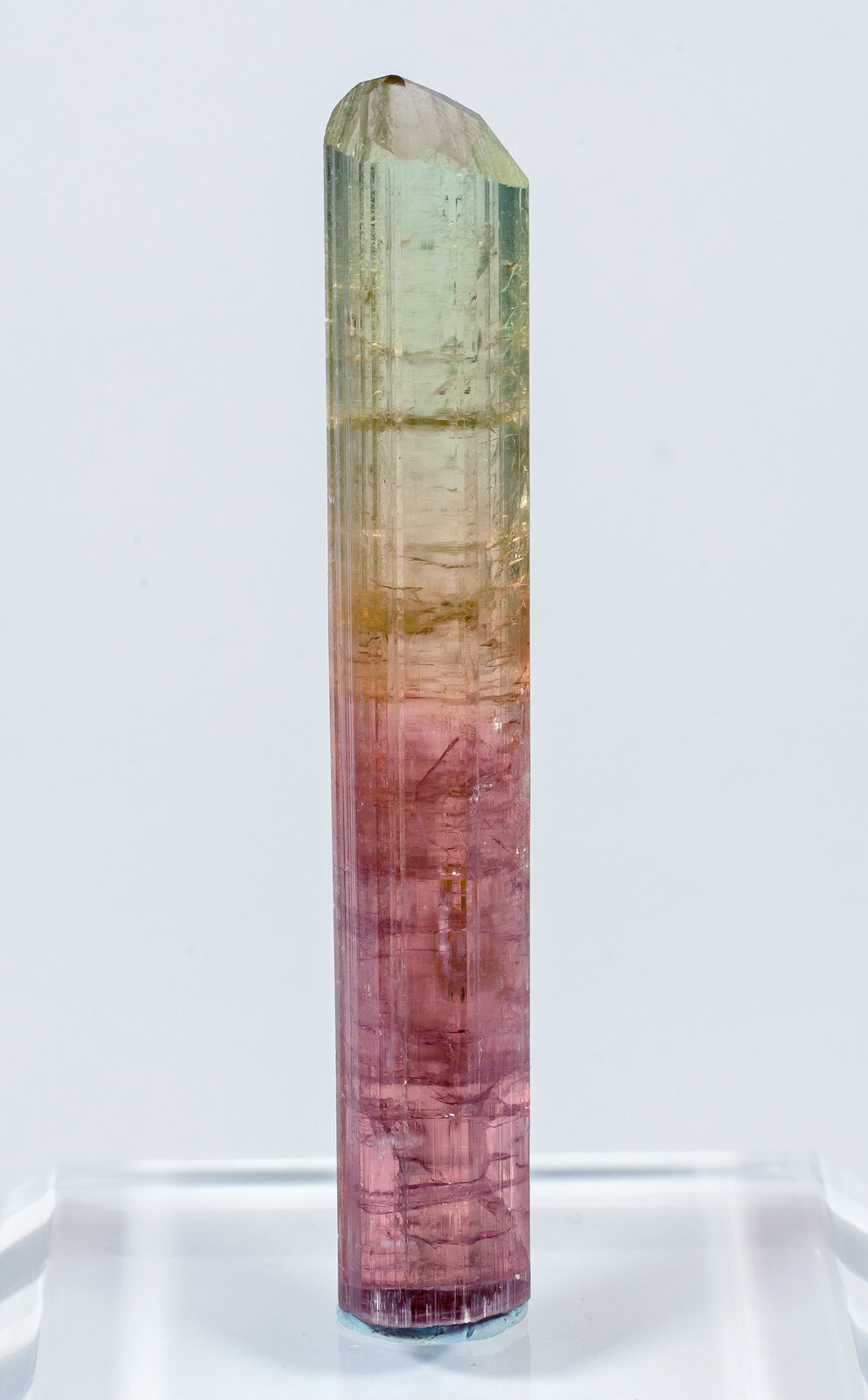 specimens/s_imagesAN3/Elbaite-TXF56AN3f.jpg