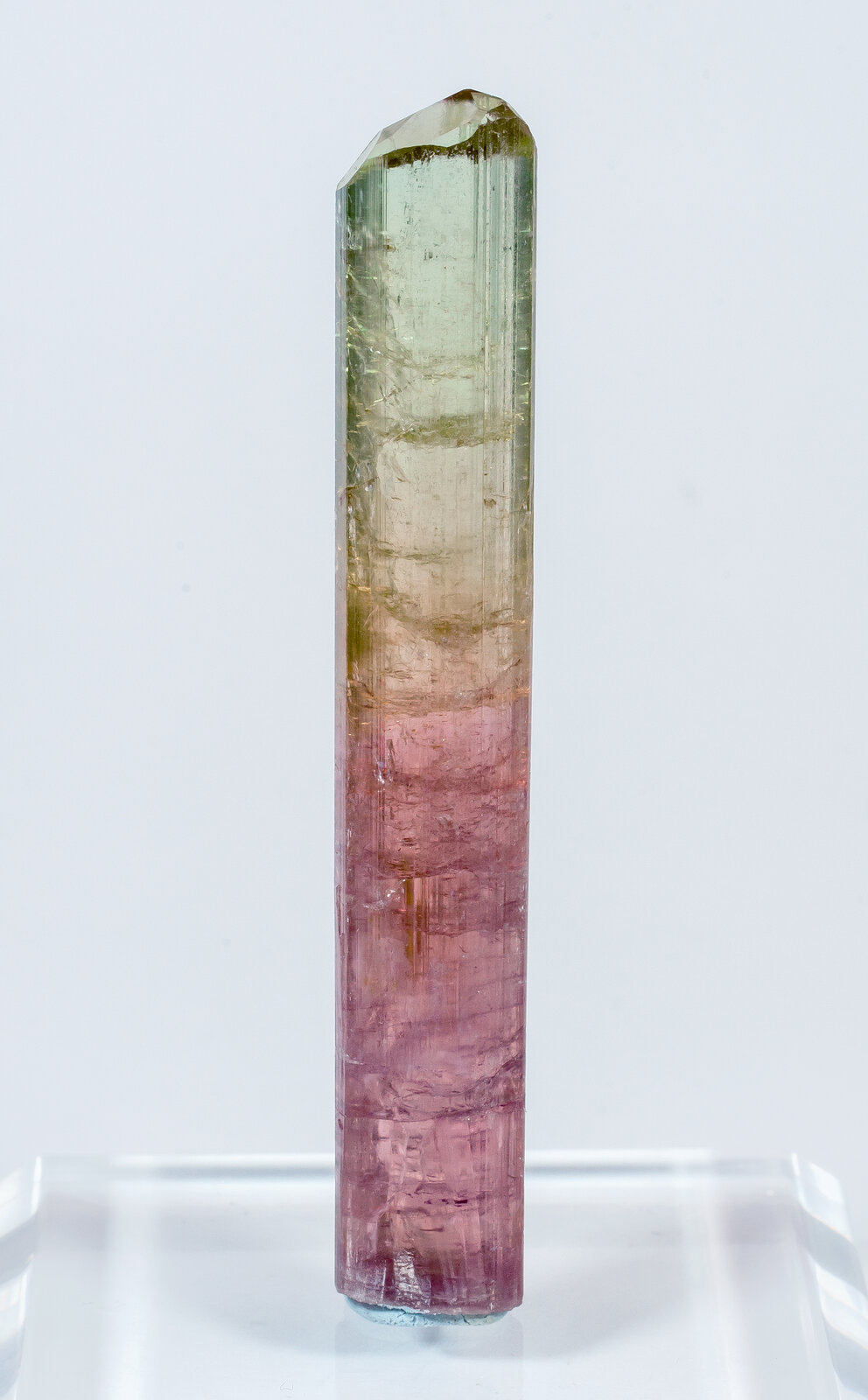 specimens/s_imagesAN3/Elbaite-TXF56AN3r.jpg