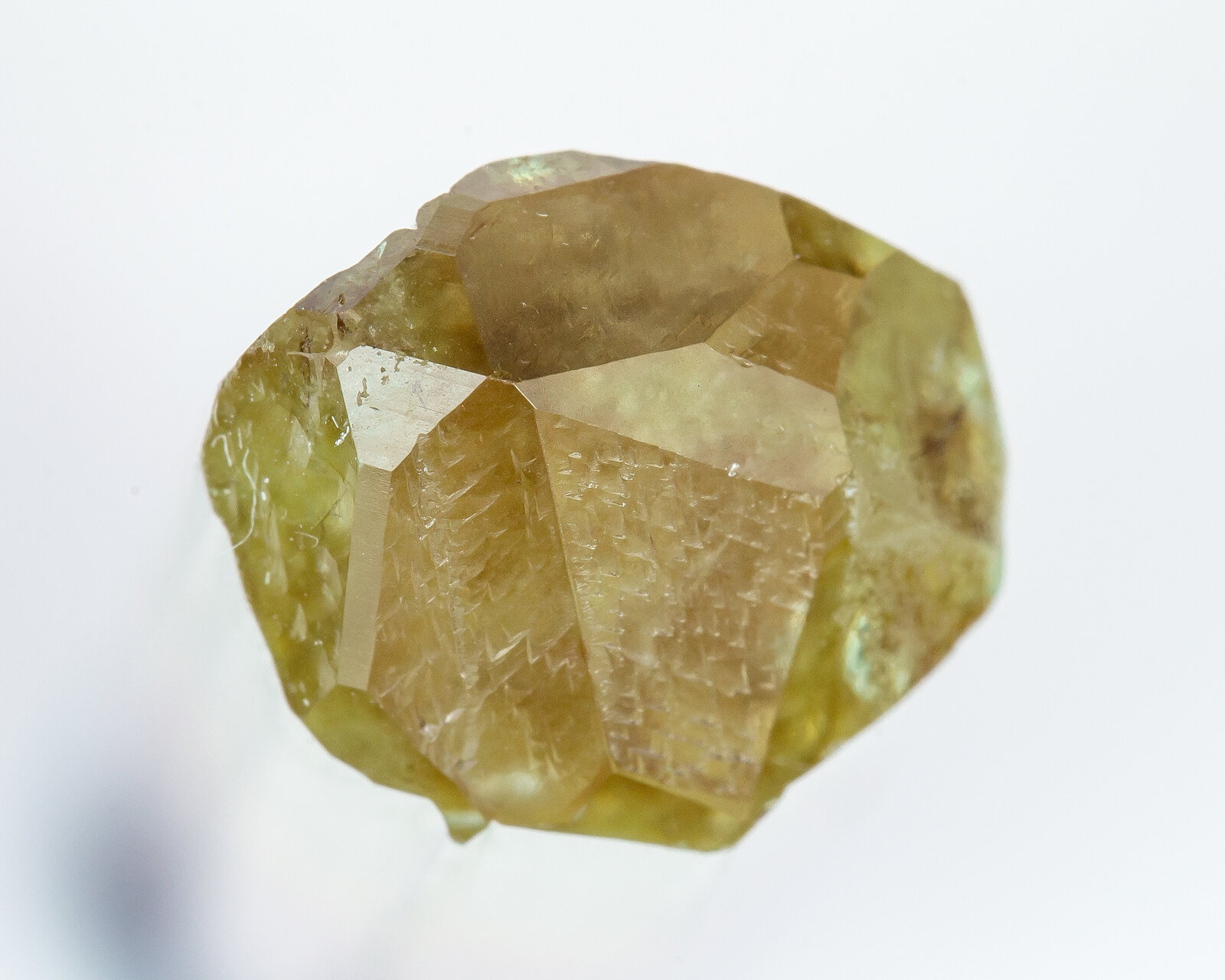 specimens/s_imagesAN3/Elbaite-TXF56AN3t.jpg