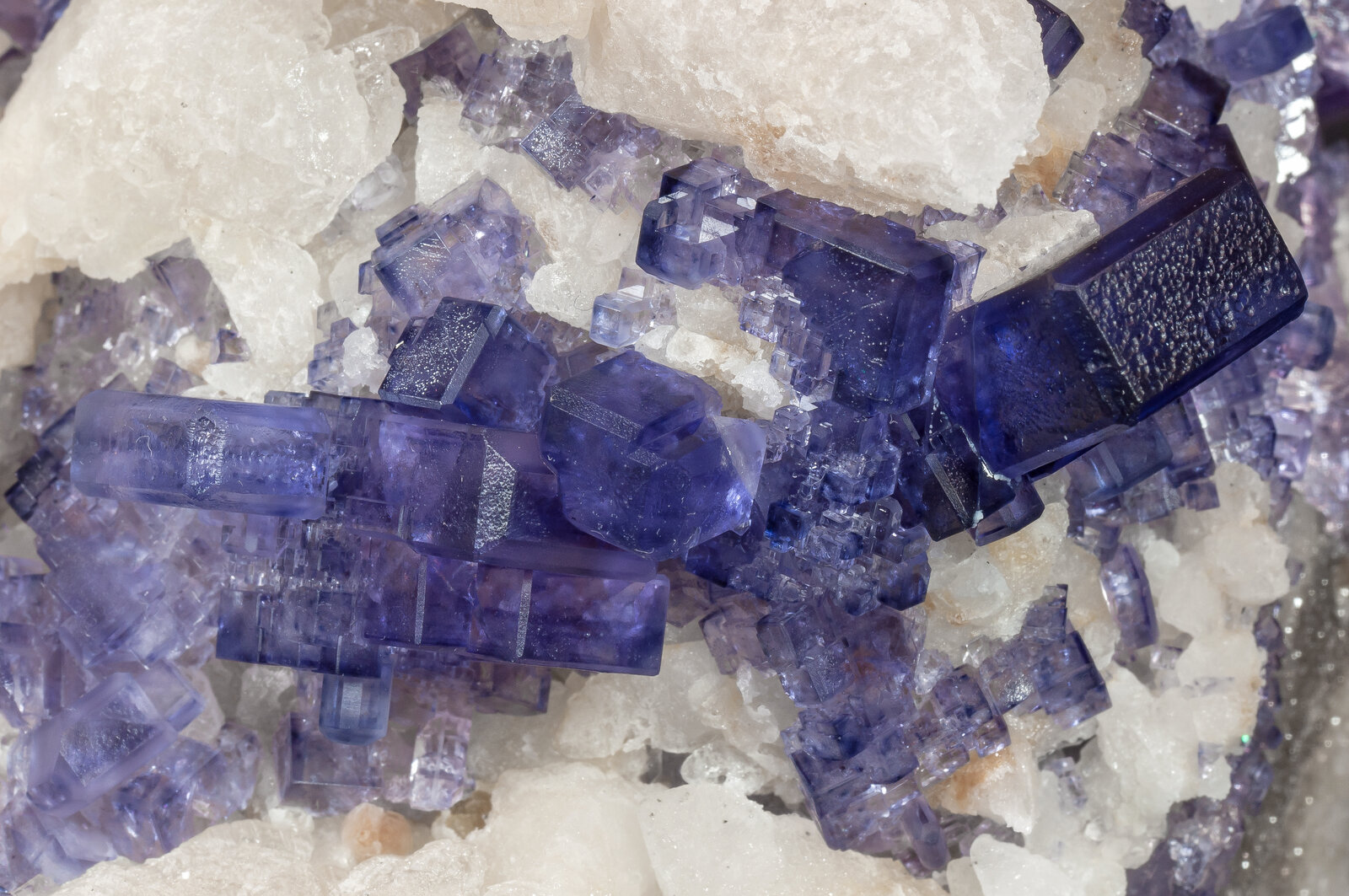 specimens/s_imagesAN3/Fluorite-NFF96AN3d2.jpg