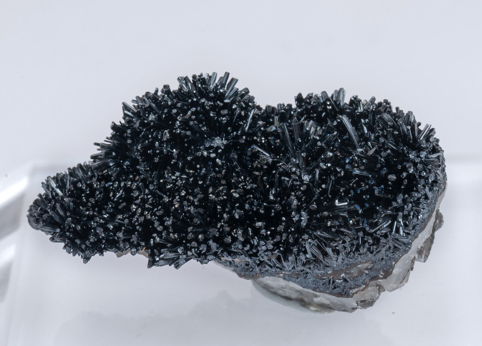 specimens/s_imagesAN3/Goethite-TCB14AN3f.jpg