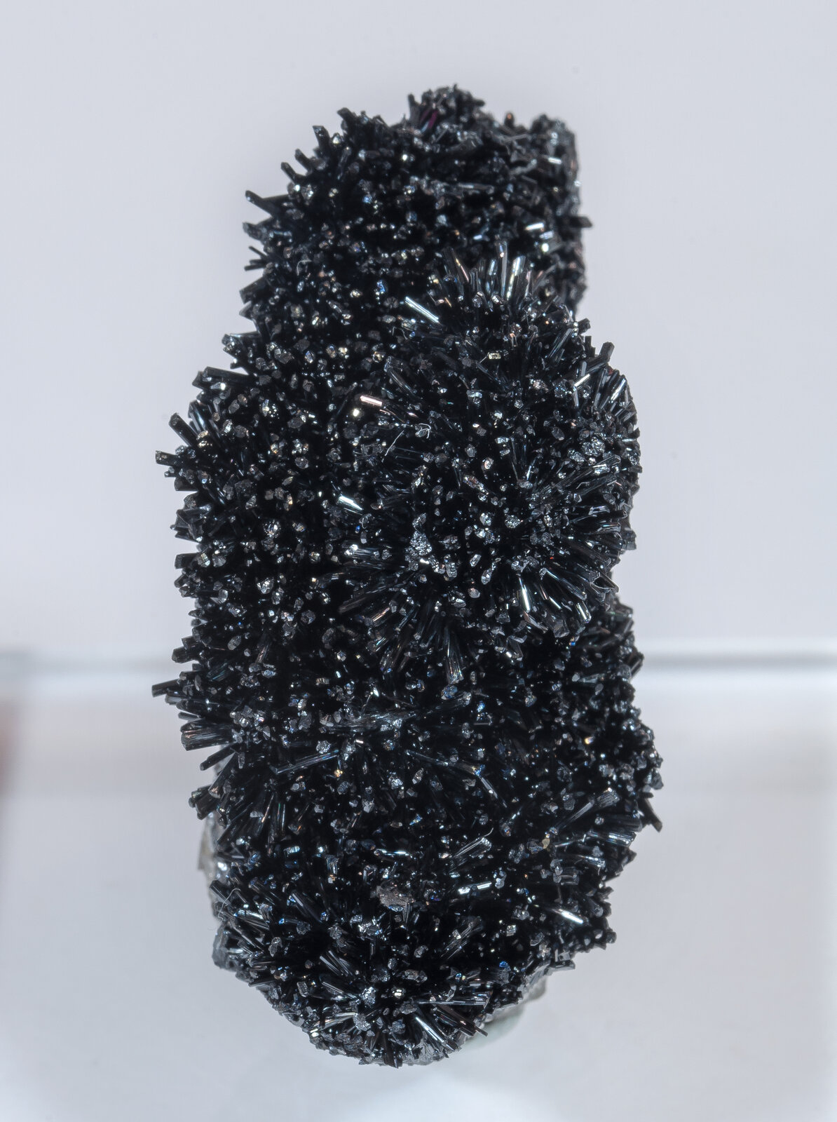 specimens/s_imagesAN3/Goethite-TCB14AN3s.jpg