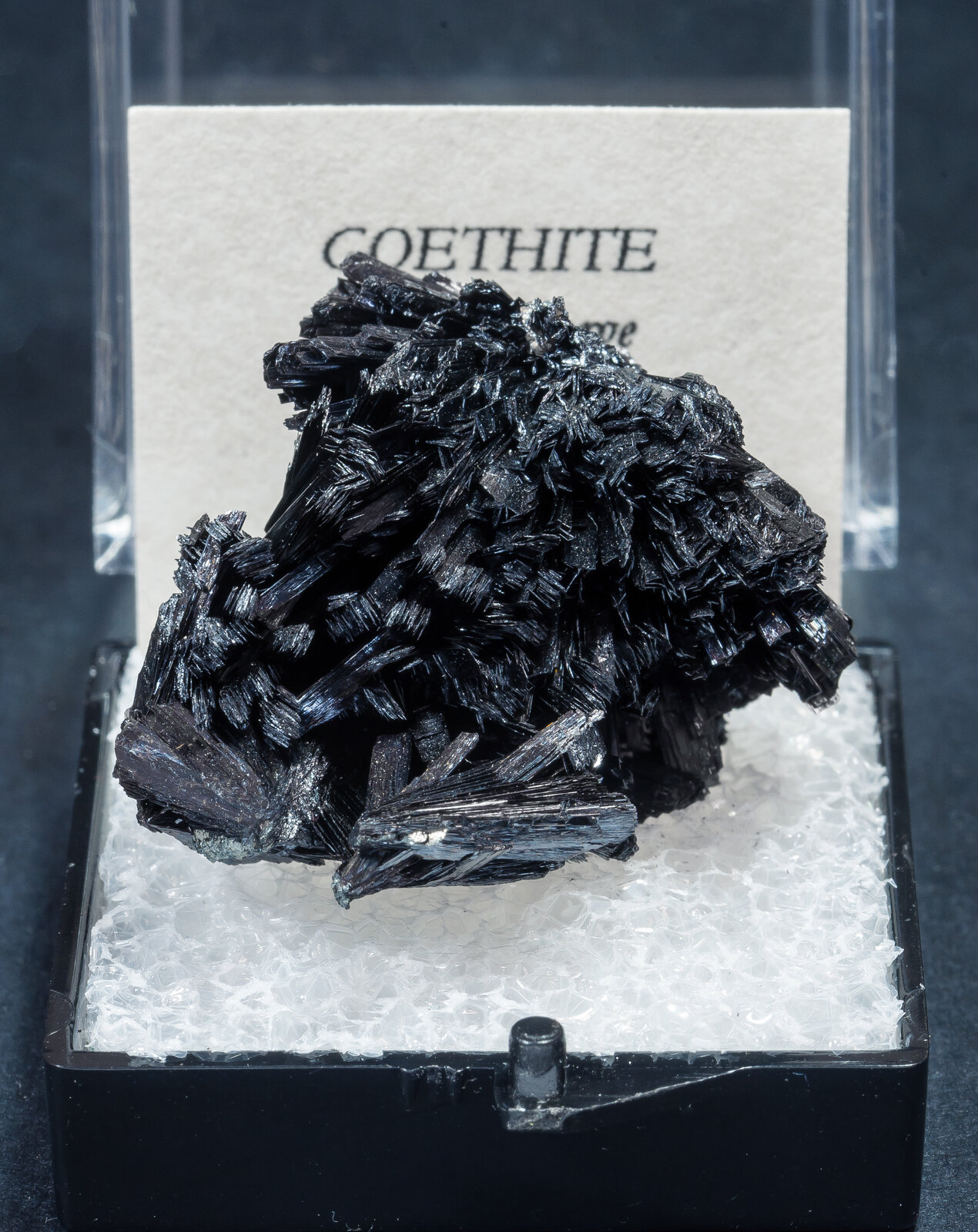 specimens/s_imagesAN3/Goethite-TDD63AN3f1.jpg