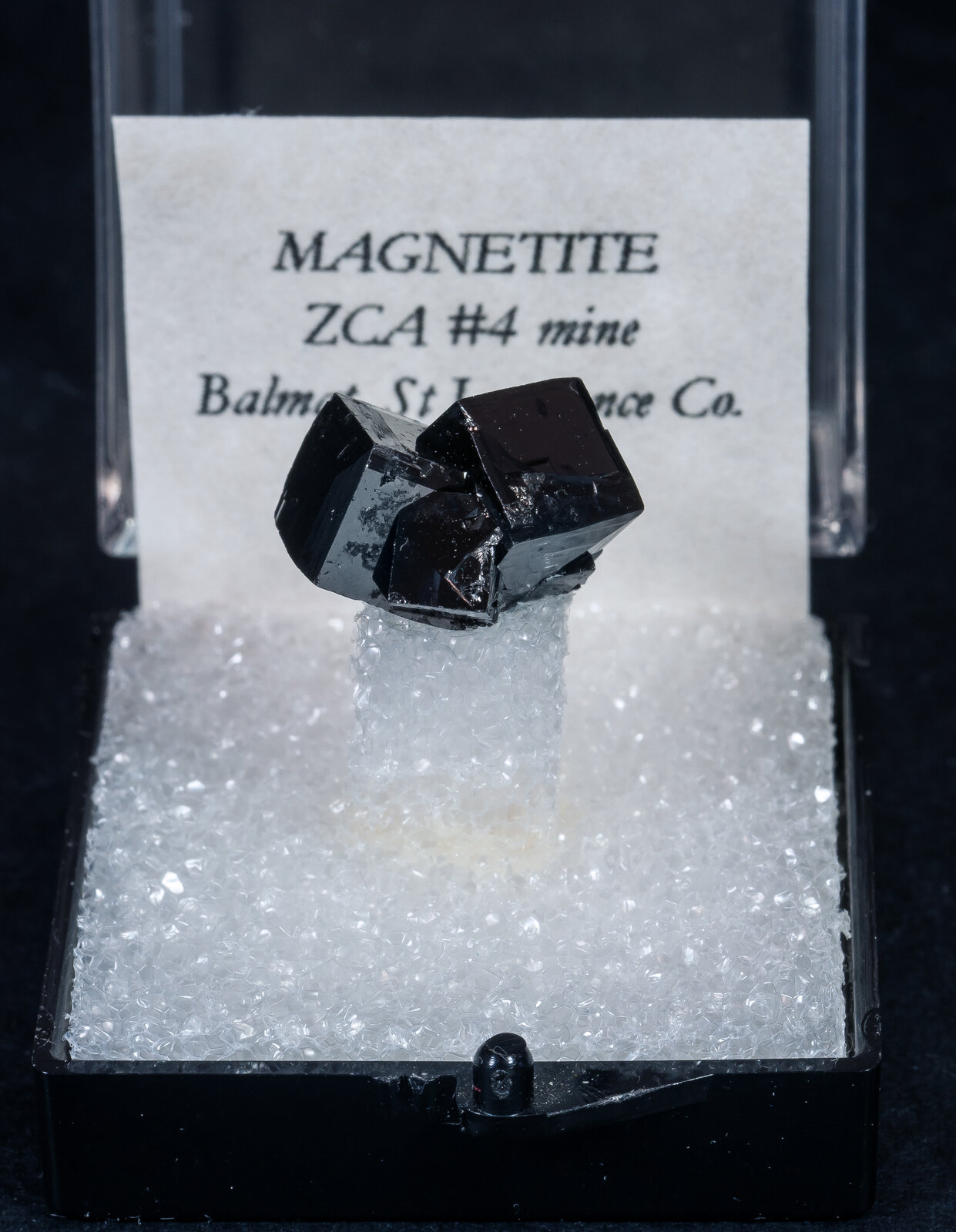 specimens/s_imagesAN3/Magnetite-TEE16AN3f1.jpg
