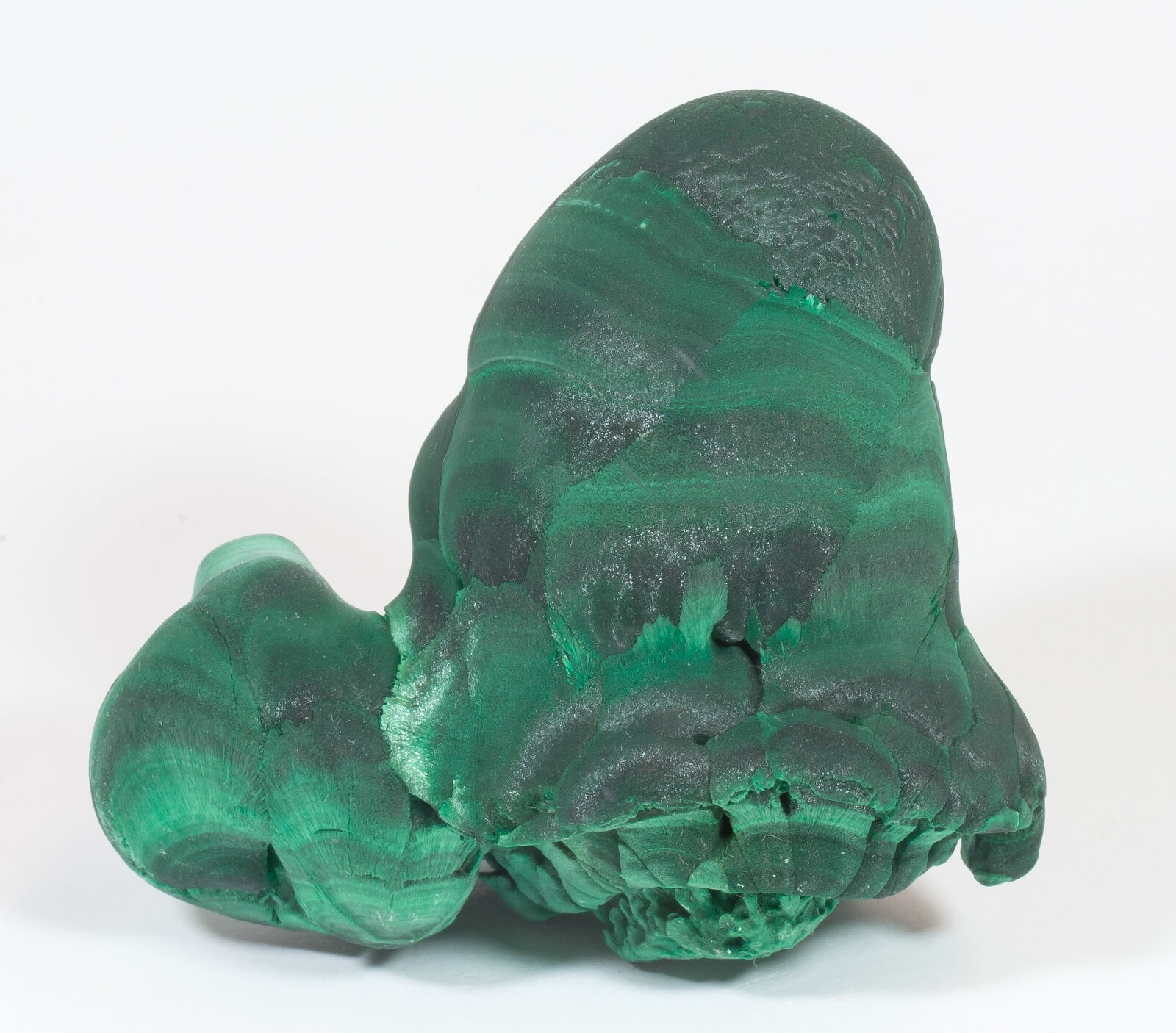 specimens/s_imagesAN3/Malachite-TGM98AN3r.jpg