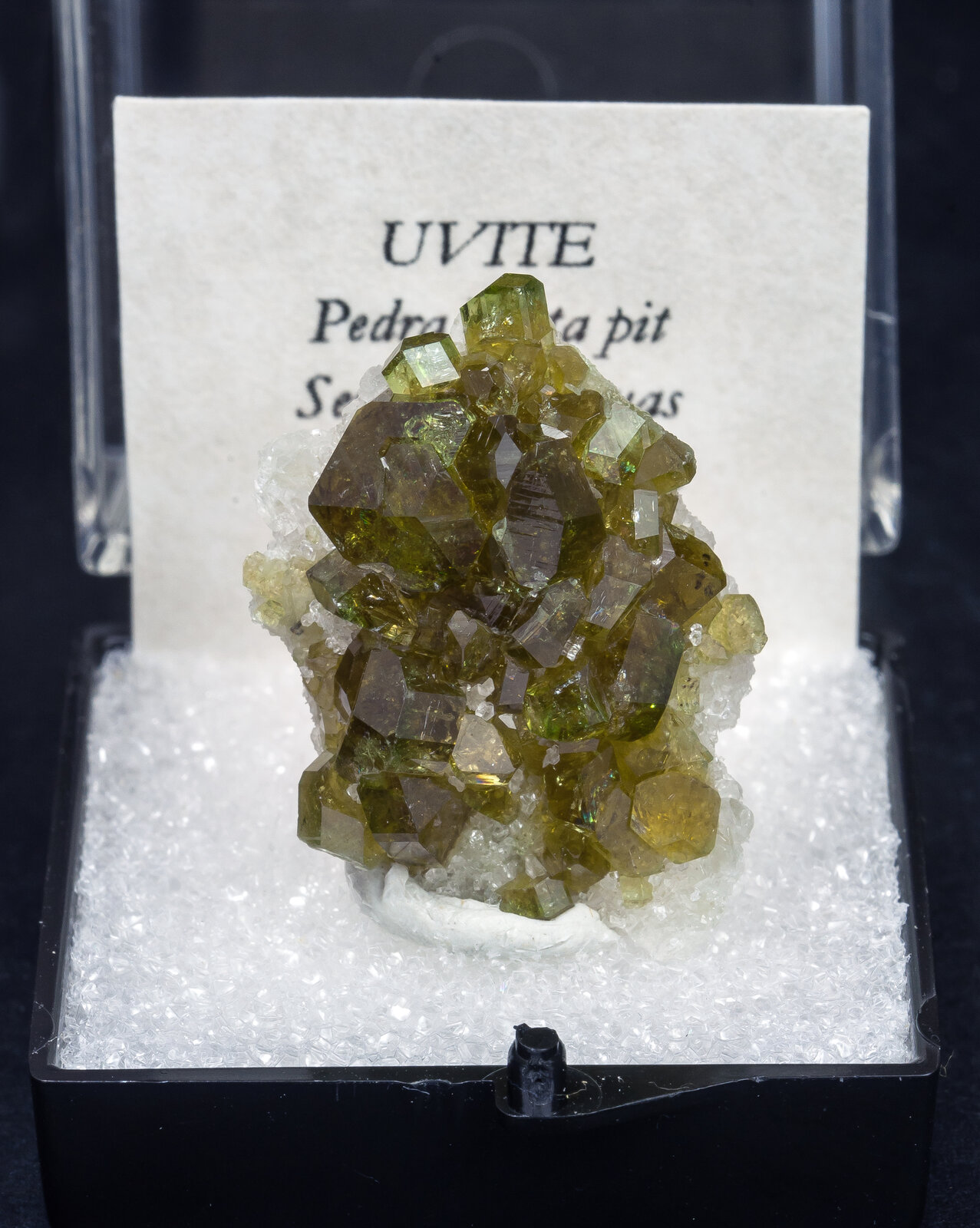 specimens/s_imagesAN3/Uvite-TXR61AN3f1.jpg
