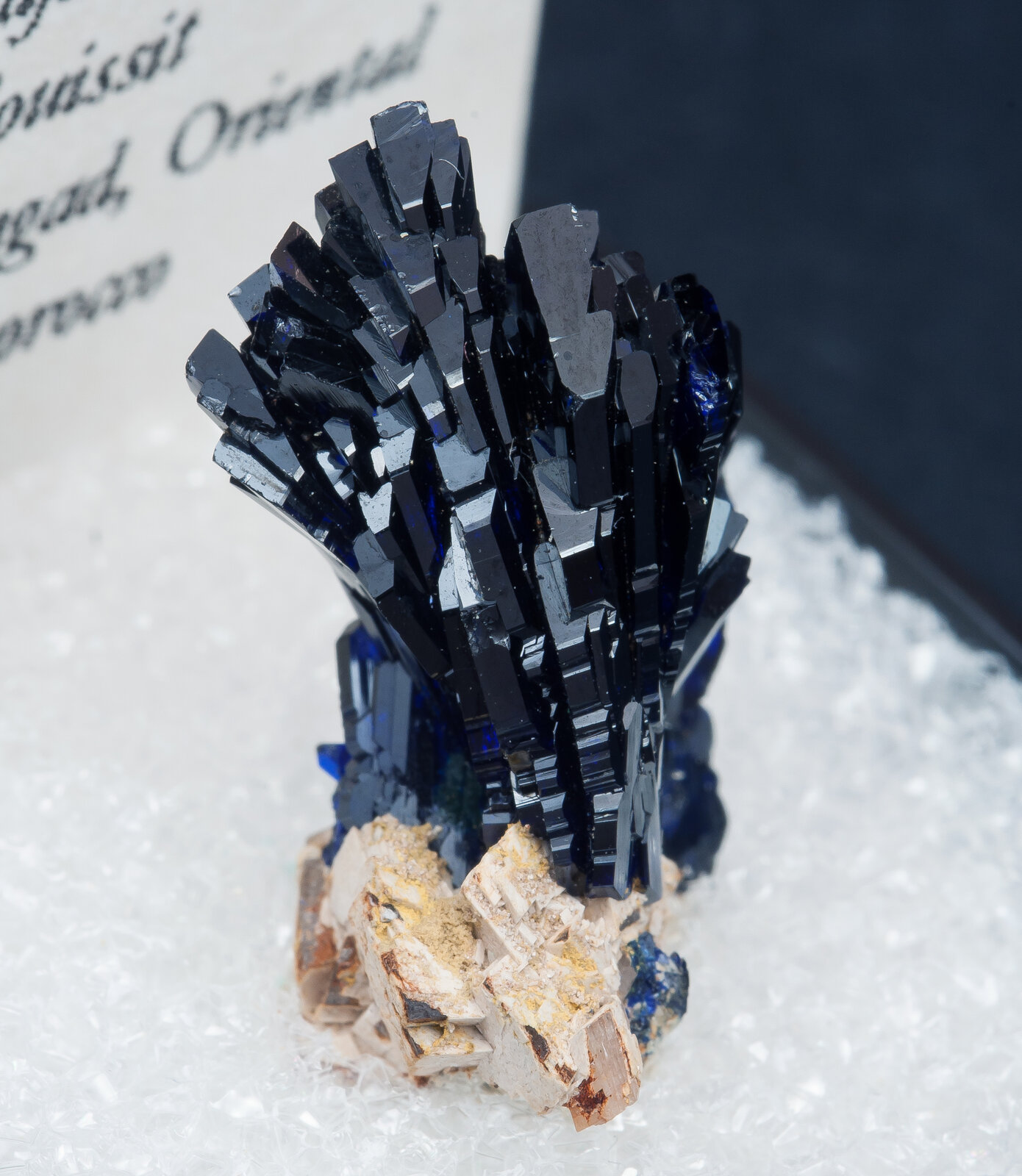 specimens/s_imagesAN4/Azurite-TJR64AN4s.jpg