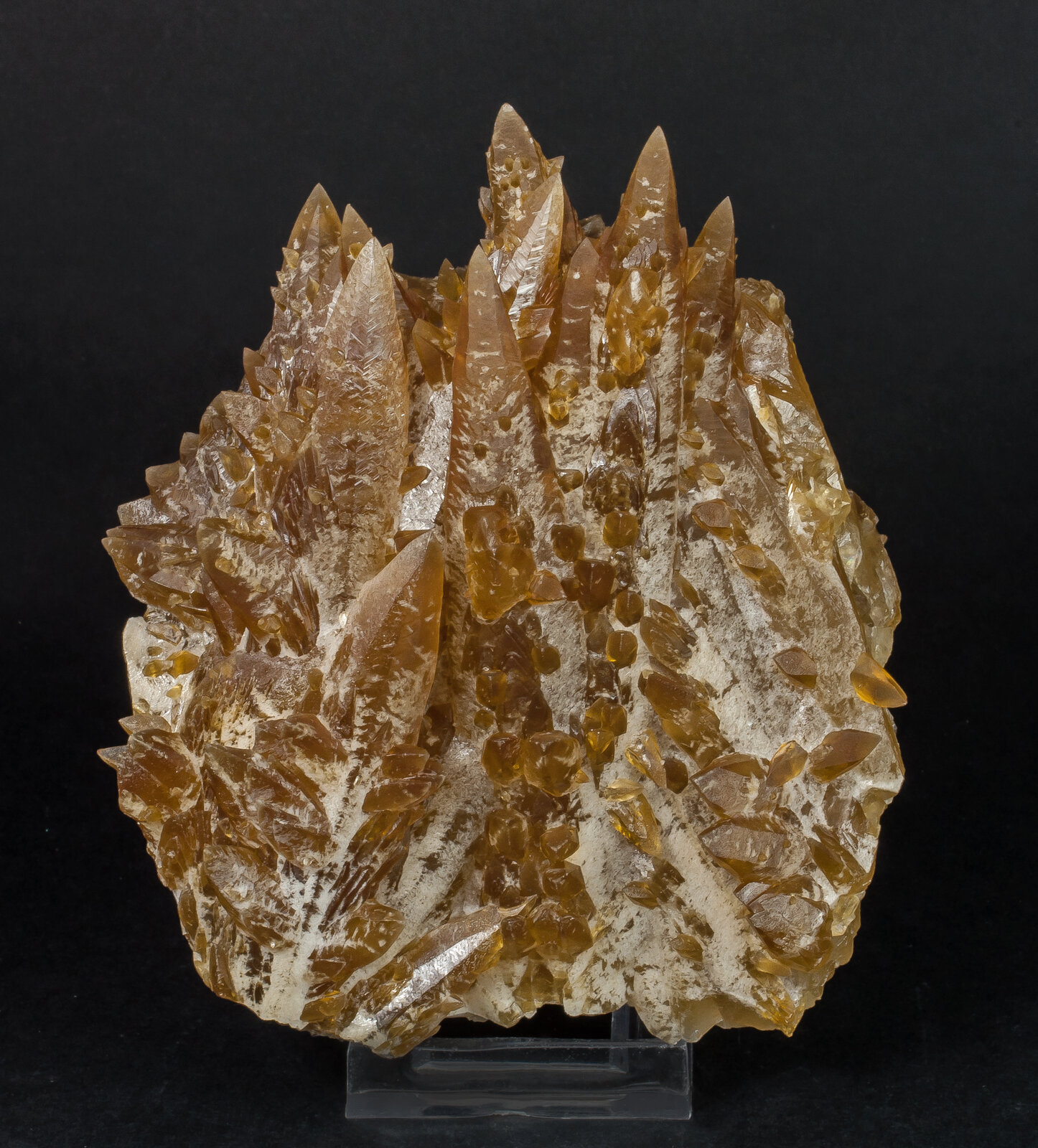 specimens/s_imagesAN4/Calcite-TFM89AN4f.jpg