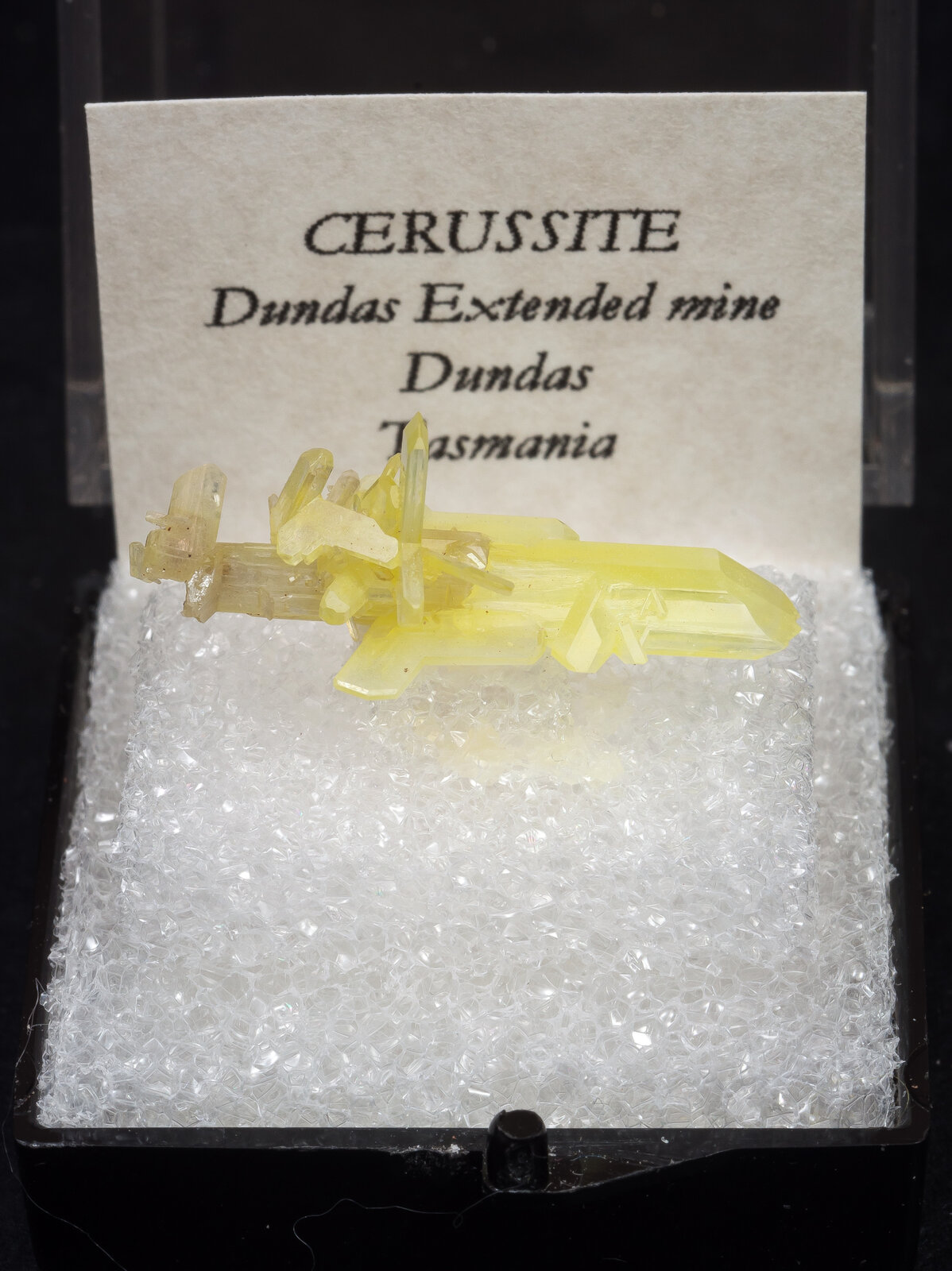 specimens/s_imagesAN4/Cerussite-TYM16AN4f1.jpg