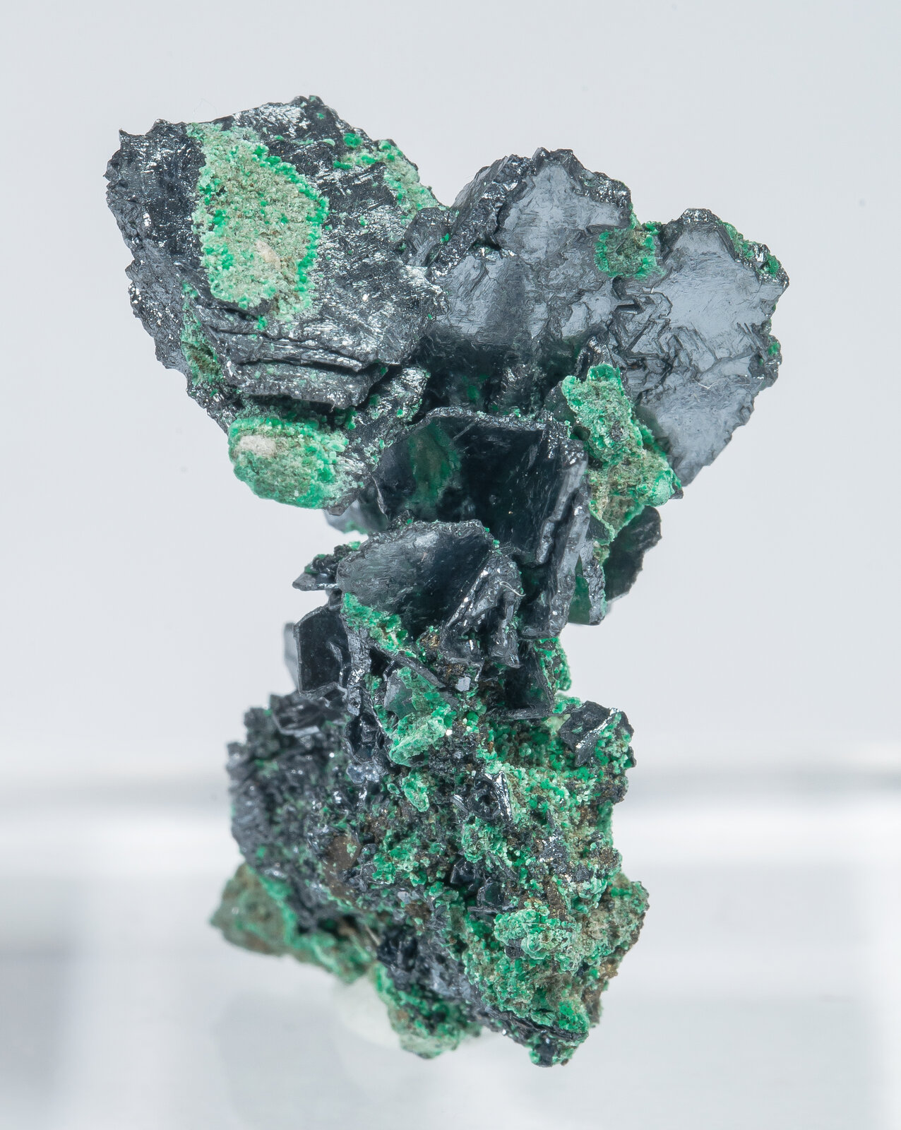 specimens/s_imagesAN4/Chalcocite-ERT26AN4f.jpg