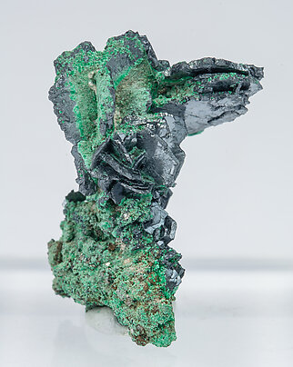 Chalcocite with Malachite. Rear