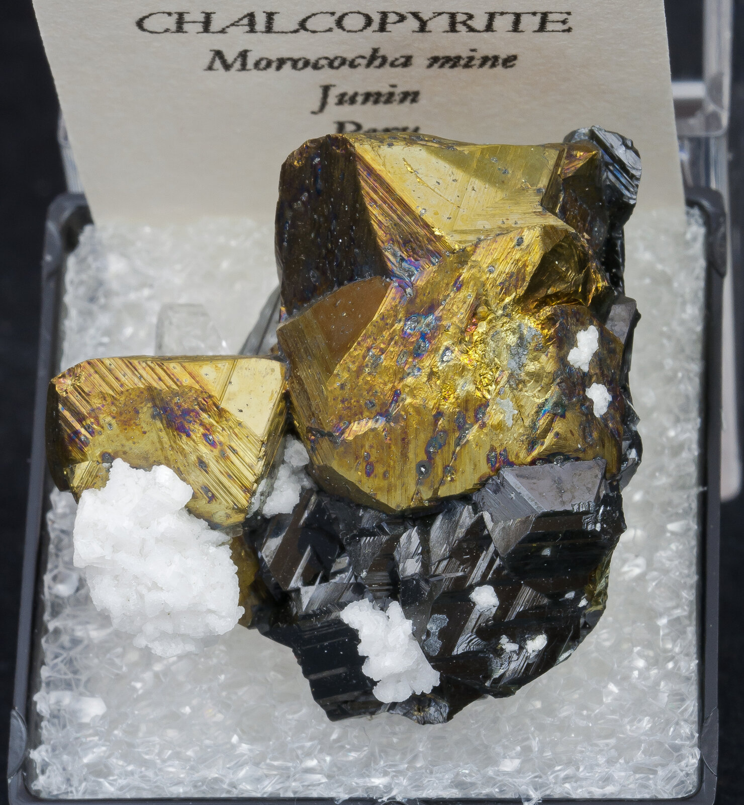 specimens/s_imagesAN4/Chalcopyrite-TTF6AN4f2.jpg