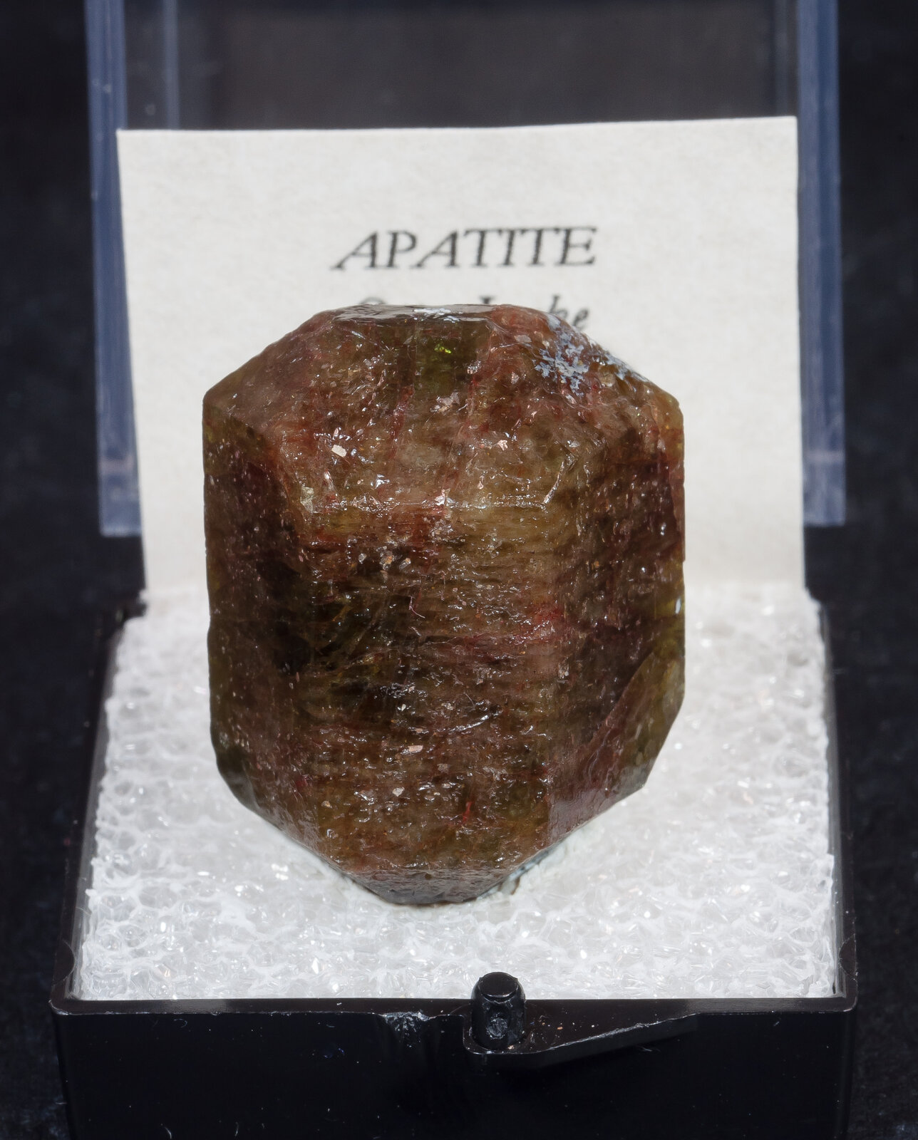 specimens/s_imagesAN4/Fluorapatite-TDF14AN4f1.jpg