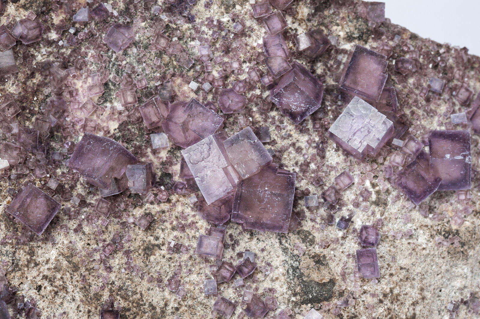 specimens/s_imagesAN4/Fluorite-TRM16AN4d.jpg