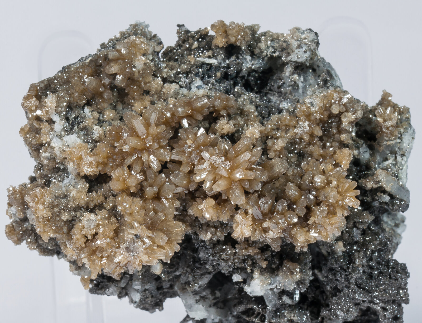 specimens/s_imagesAN4/Mimetite-TGB68AN4d.jpg