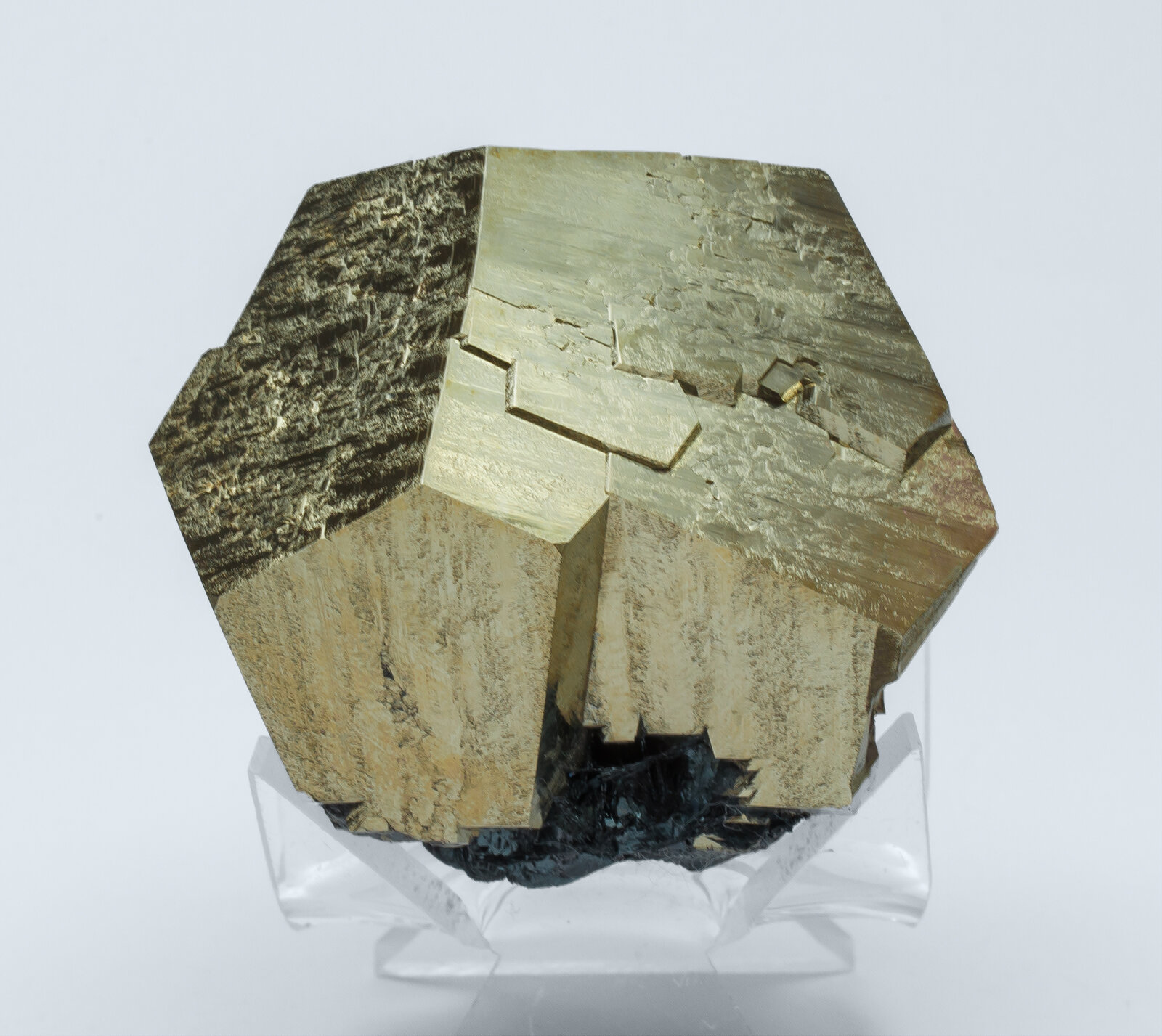 specimens/s_imagesAN4/Pyrite-TFF49AN4f.jpg