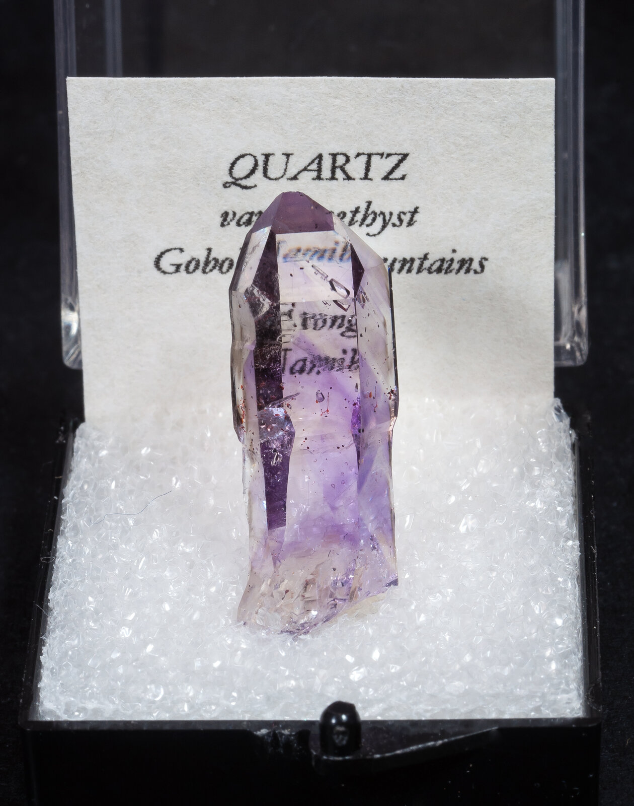 specimens/s_imagesAN4/Quartz-amethyst-TMP13AN4f1.jpg