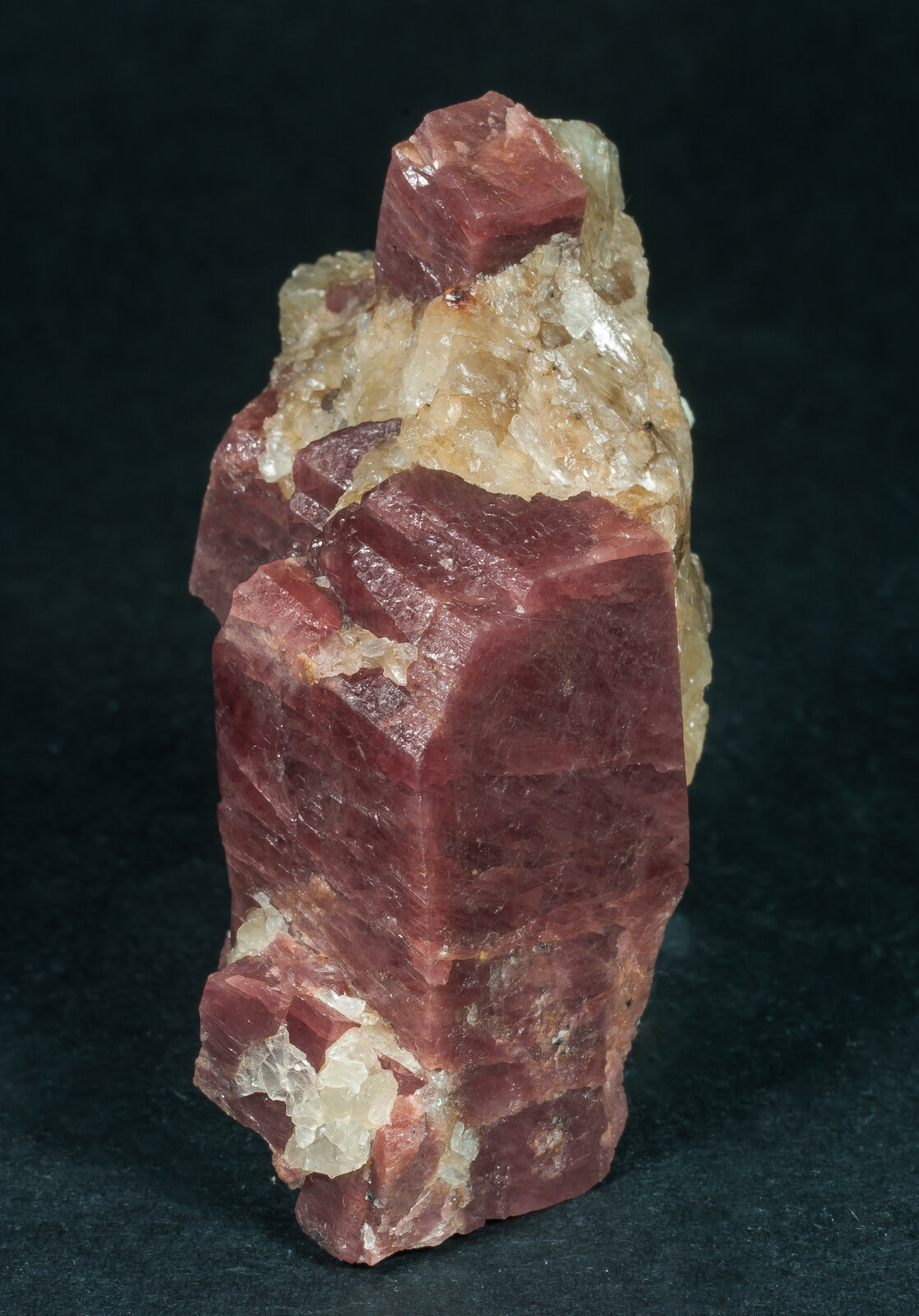 specimens/s_imagesAN4/Rhodonite-TFR50AN4f.jpg