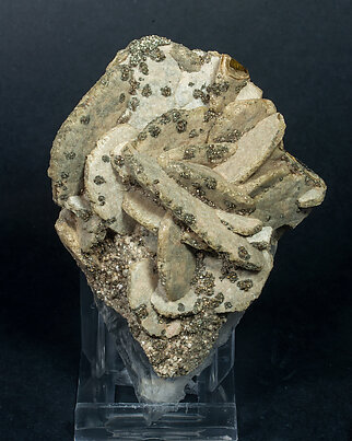 Siderite with Pyrite and Quartz. 