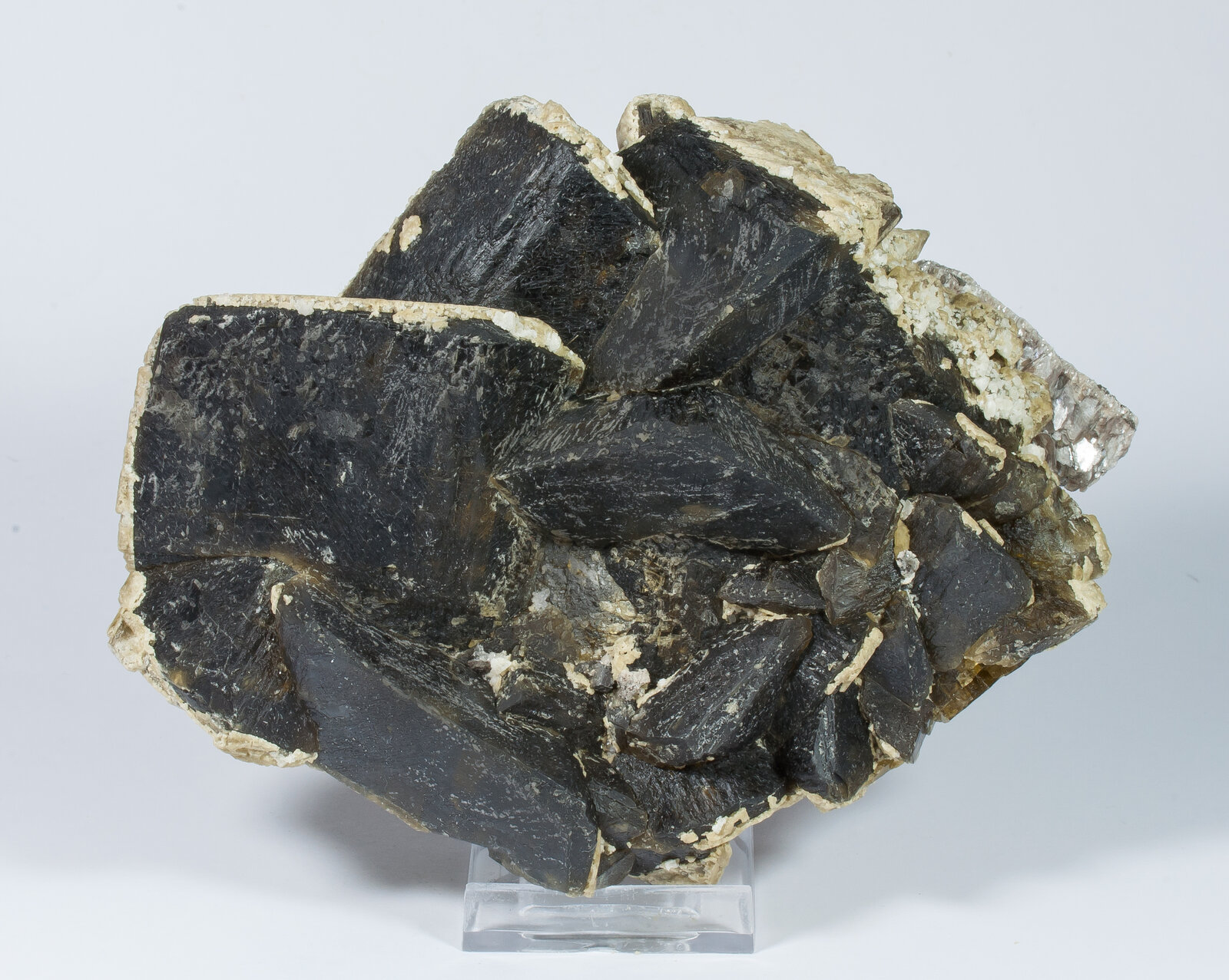 specimens/s_imagesAN4/Siderite-NZR47AN4f.jpg