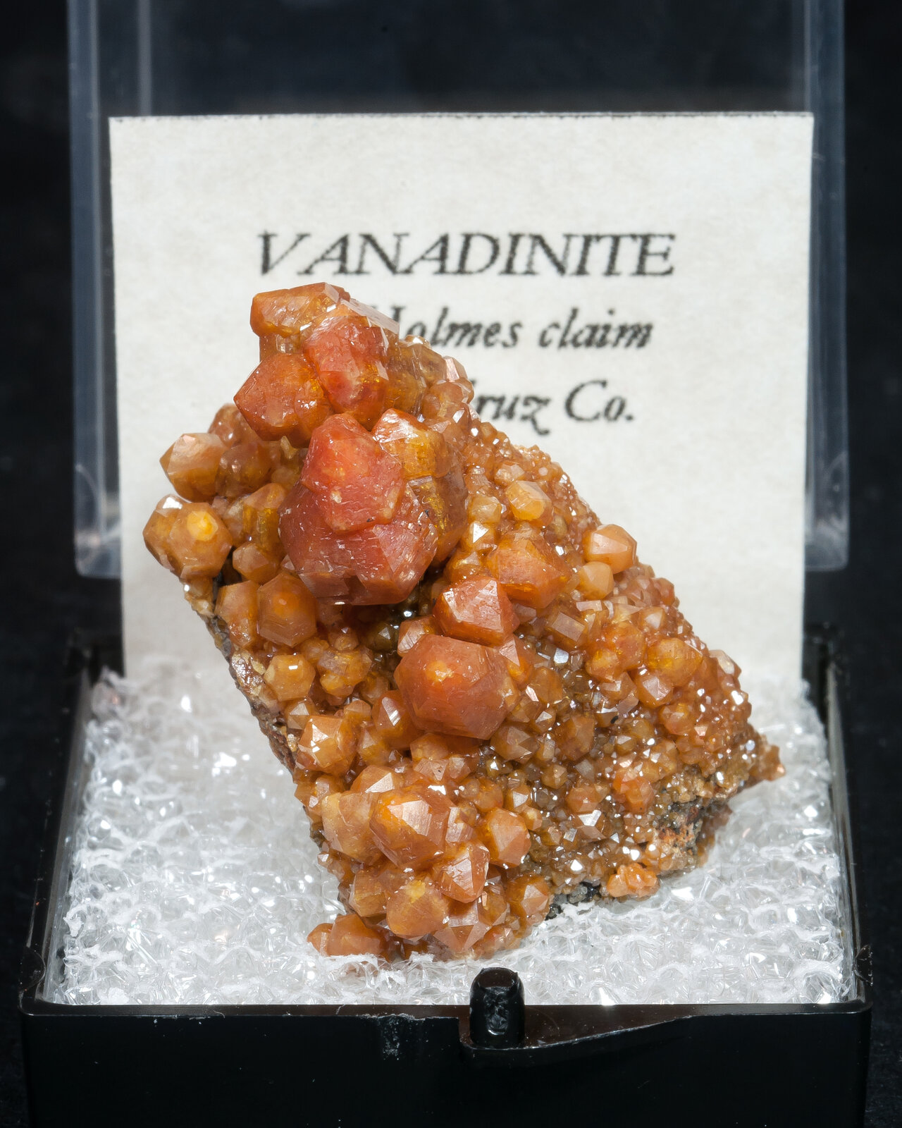 specimens/s_imagesAN4/Vanadinite-TCM16AN4f1.jpg