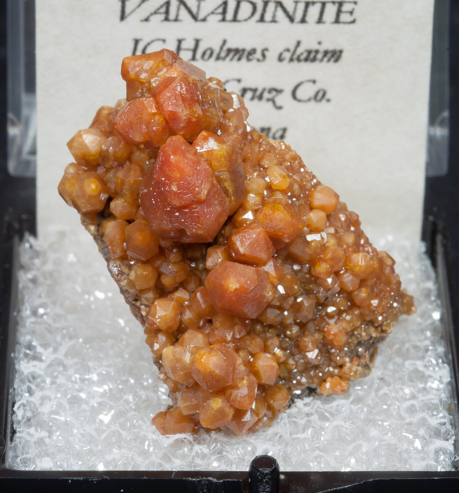 specimens/s_imagesAN4/Vanadinite-TCM16AN4f2.jpg