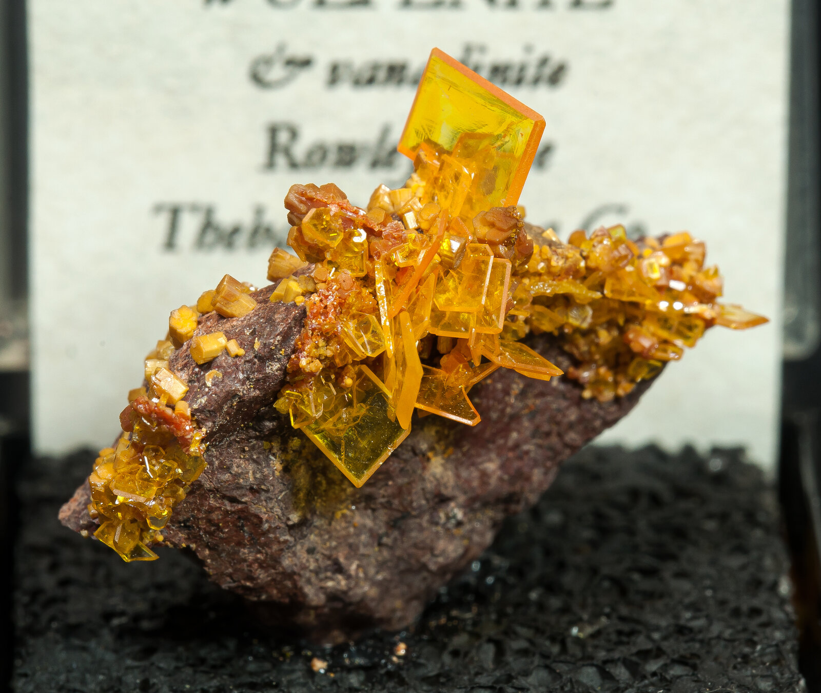 specimens/s_imagesAN4/Wulfenite-TRA62AN4f2.jpg