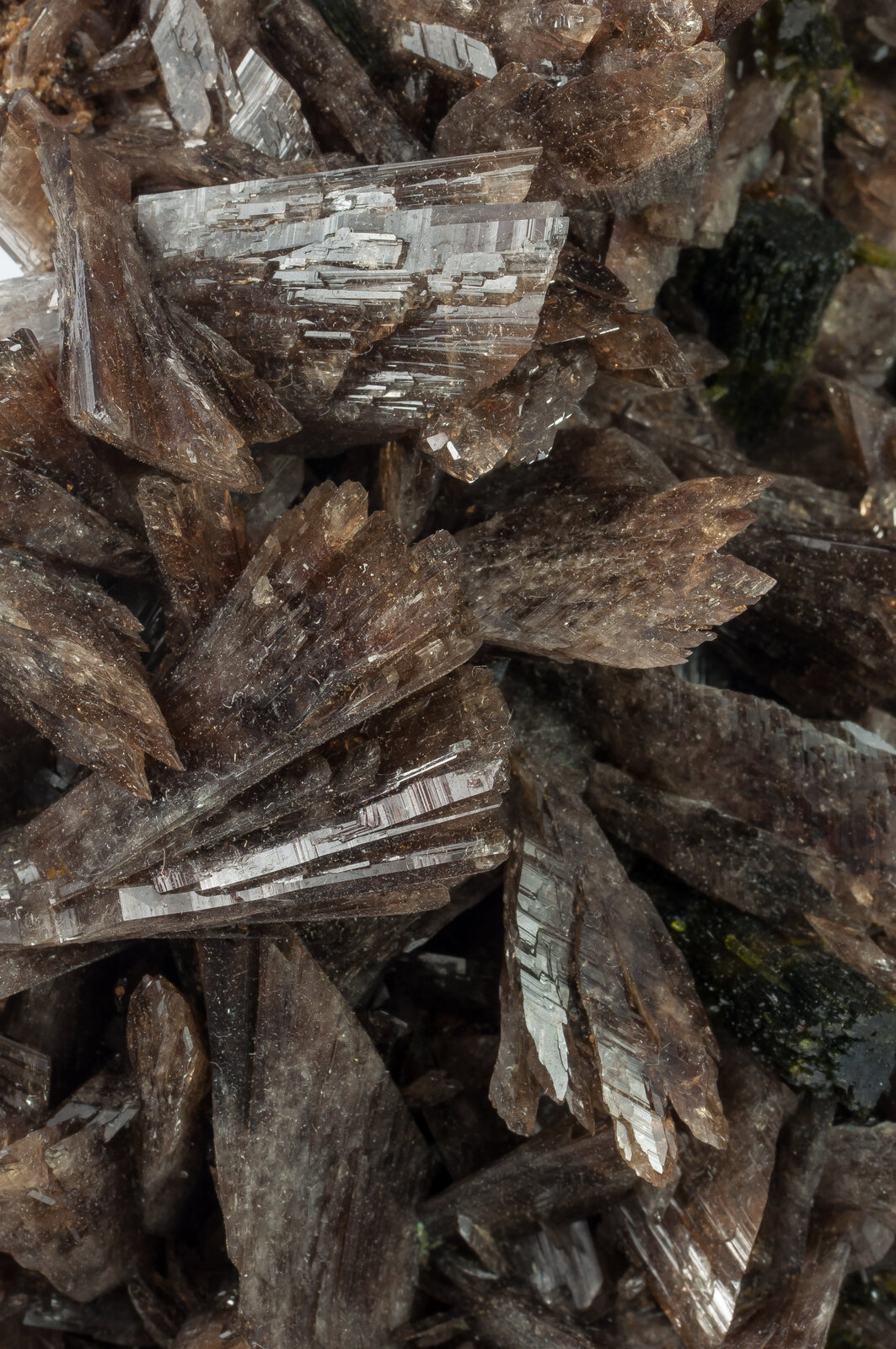 specimens/s_imagesAN5/Axinite-NPB27AN5d1.jpg