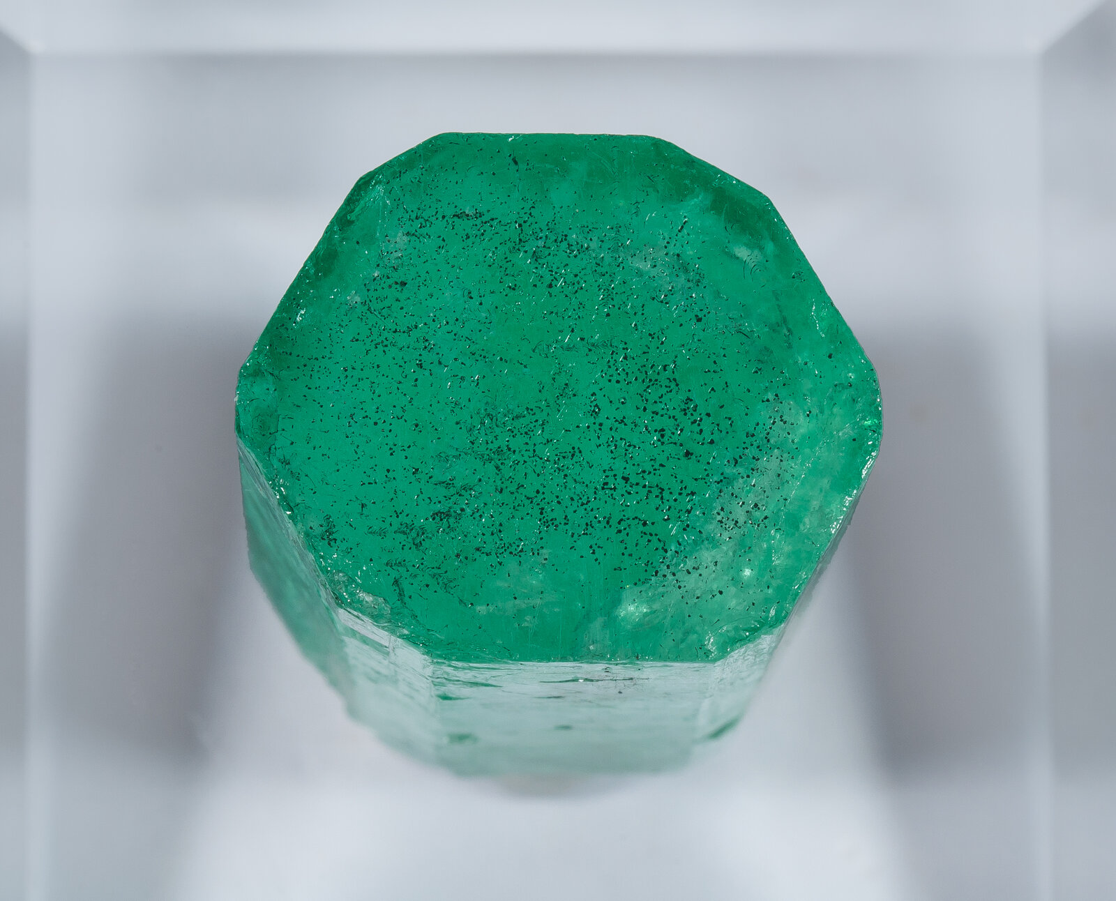 specimens/s_imagesAN5/Beryl_emerald-EFG26AN5t.jpg