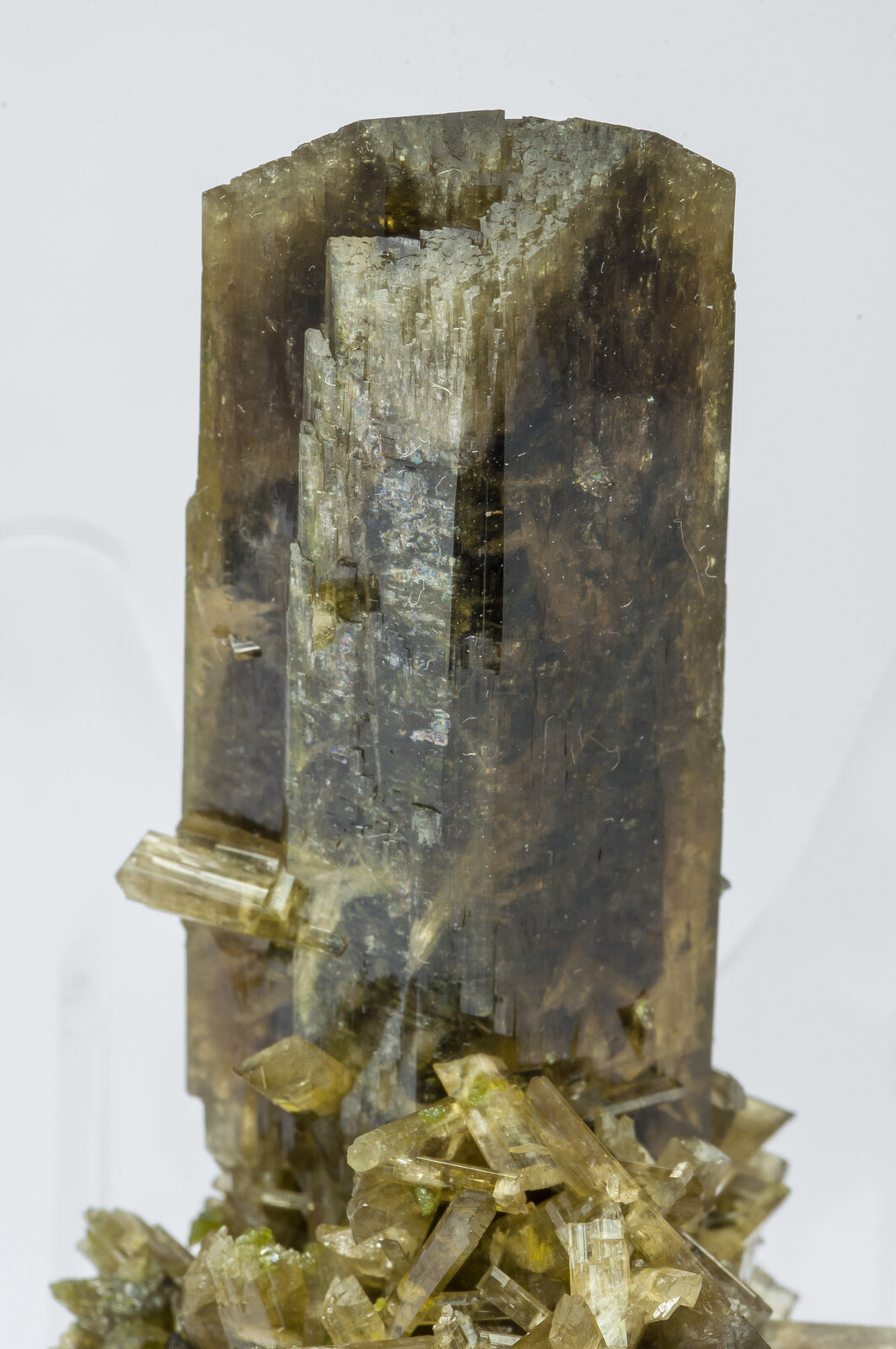 specimens/s_imagesAN5/Clinozoisite-TRP49AN5d.jpg