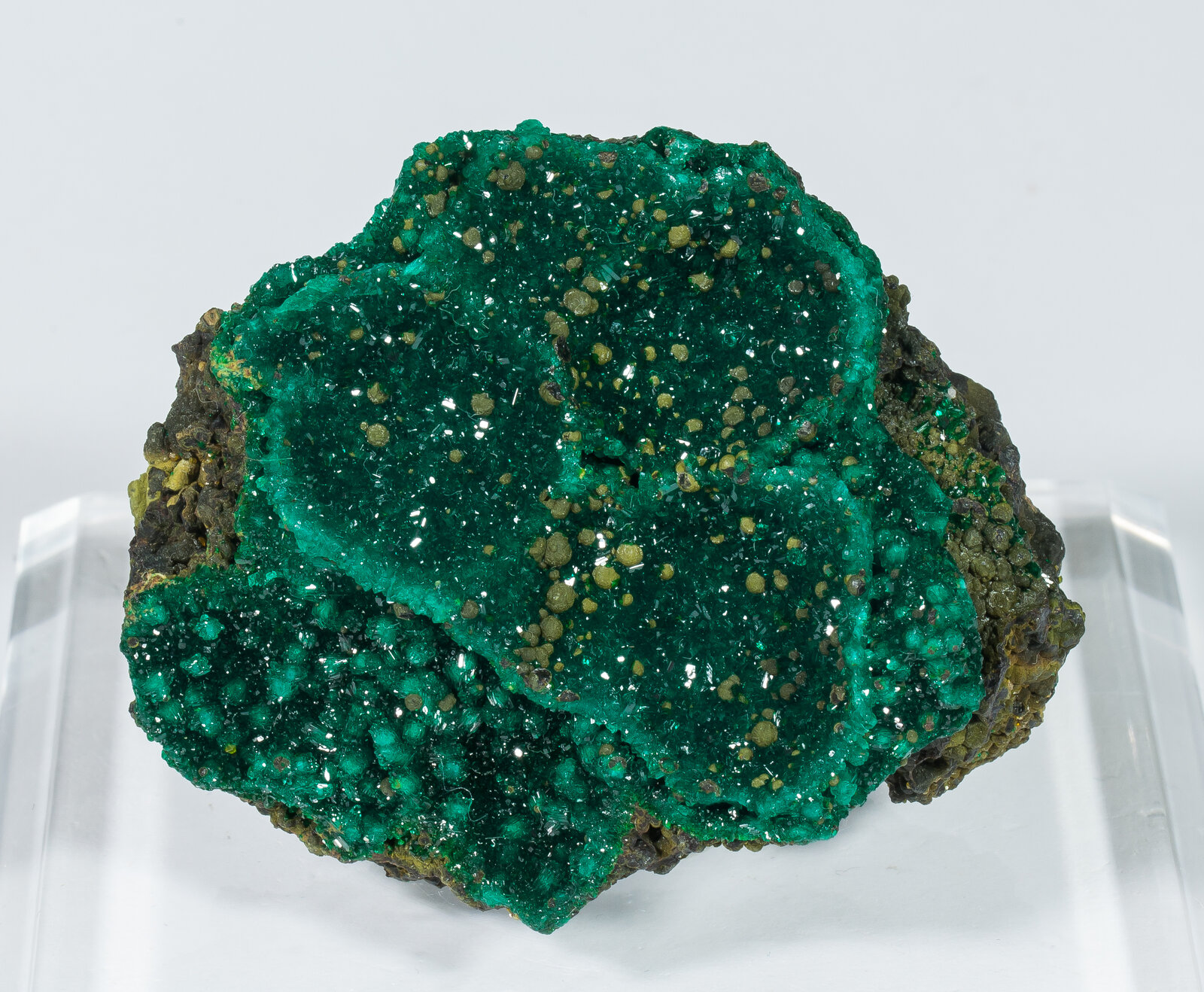 specimens/s_imagesAN5/Dioptase-TFB92AN5f.jpg