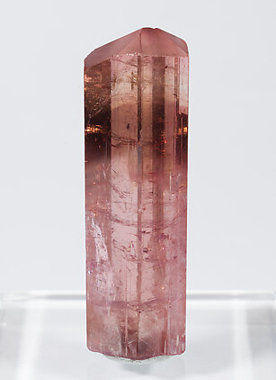 Elbaite (variety rubellite). Front