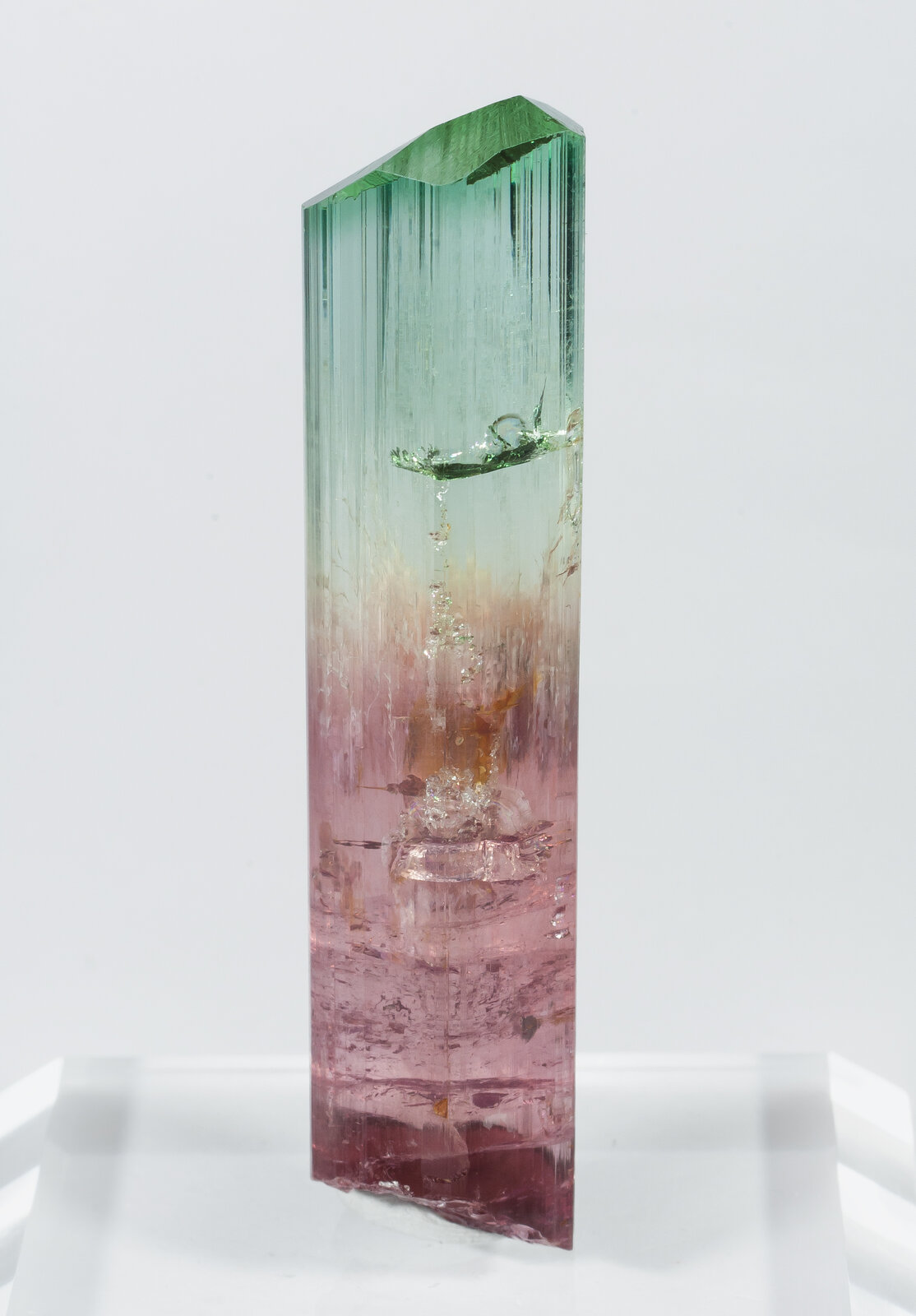 specimens/s_imagesAN5/Elbaite-TZR86AN5r.jpg