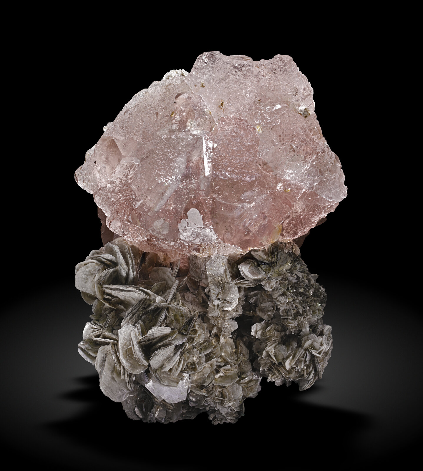 specimens/s_imagesAN5/Fluorite-ERJ92AN5_0969_f.jpg