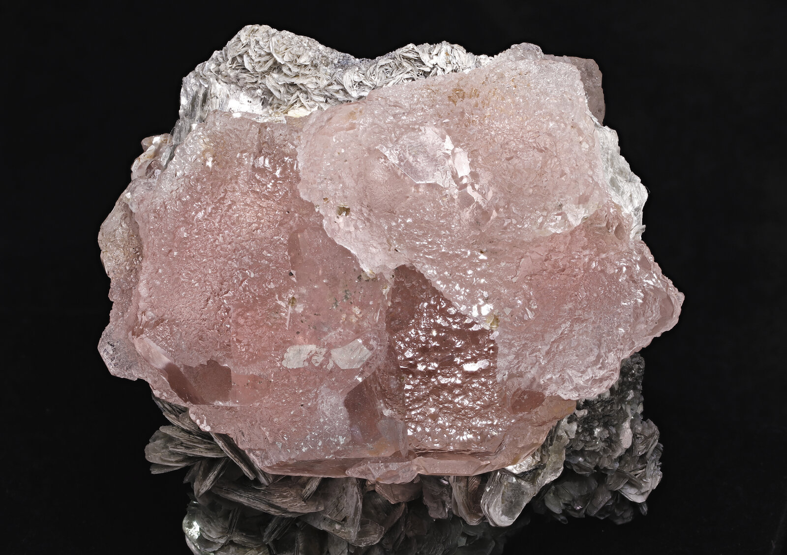 specimens/s_imagesAN5/Fluorite-ERJ92AN5_1008_d.jpg