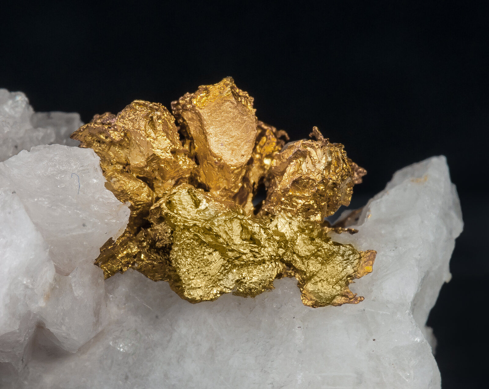 specimens/s_imagesAN5/Gold-TFG94AN5d.jpg