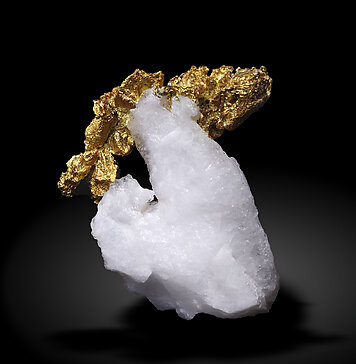 Gold on Quartz. Rear / Photo: Joaquim Calln