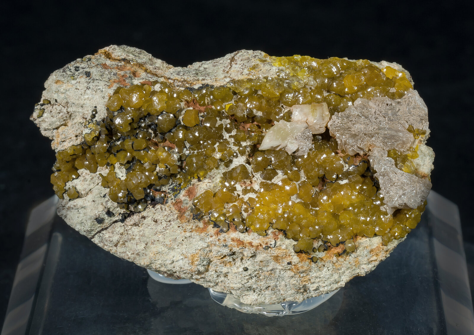 specimens/s_imagesAN5/Mimetite-JFD01AN5f.jpg