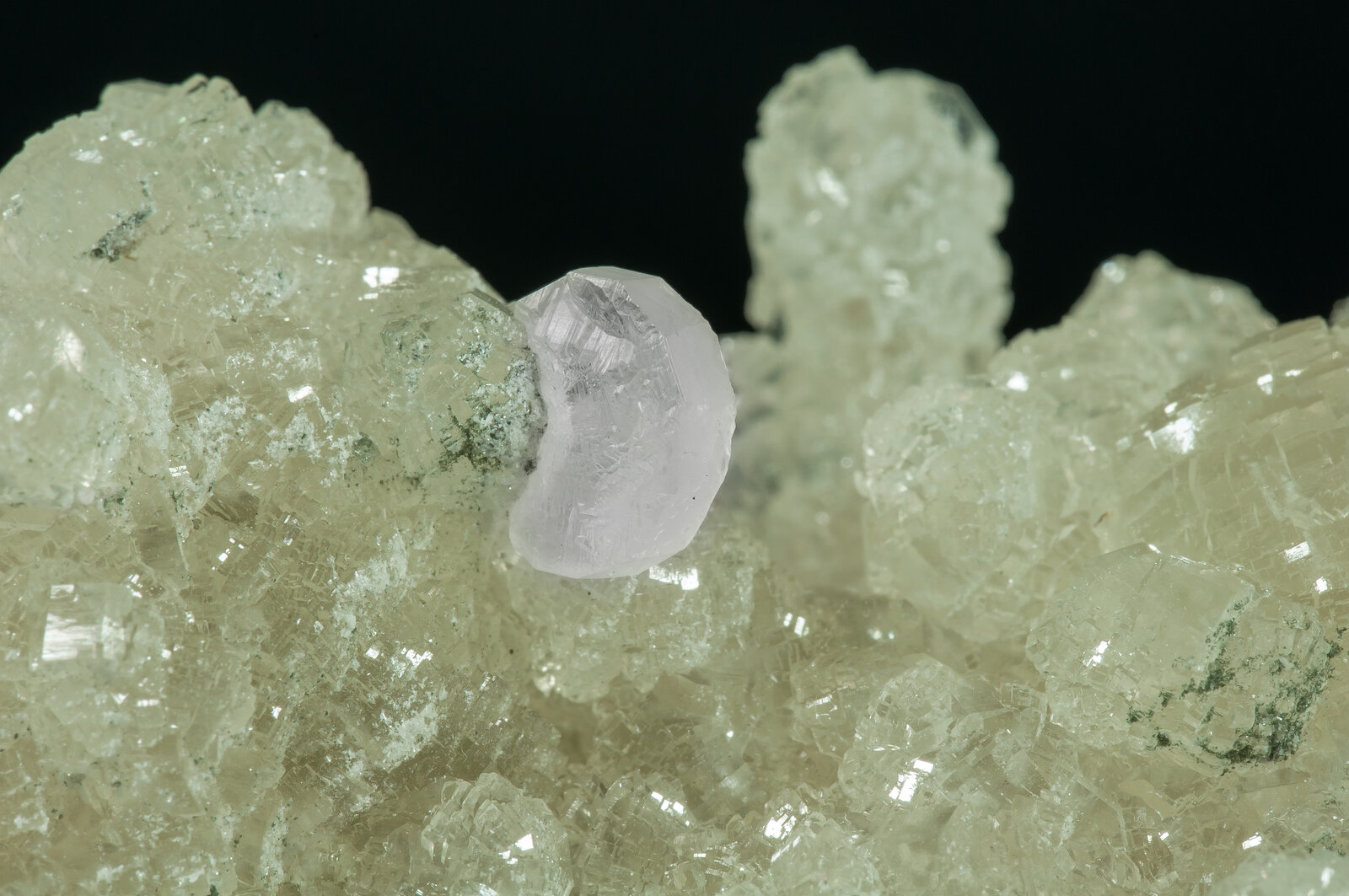 specimens/s_imagesAN5/Prehnite-JFD11AN5d.jpg