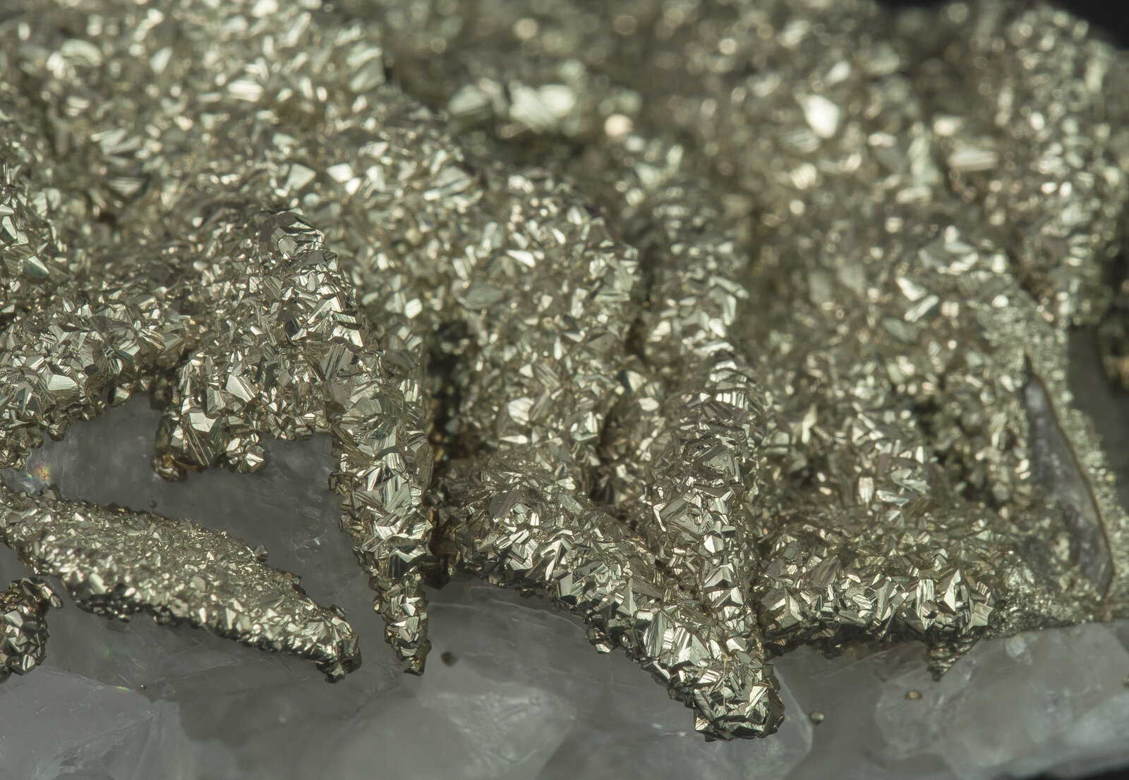 specimens/s_imagesAN5/Pyrite-EMR46AN5d.jpg