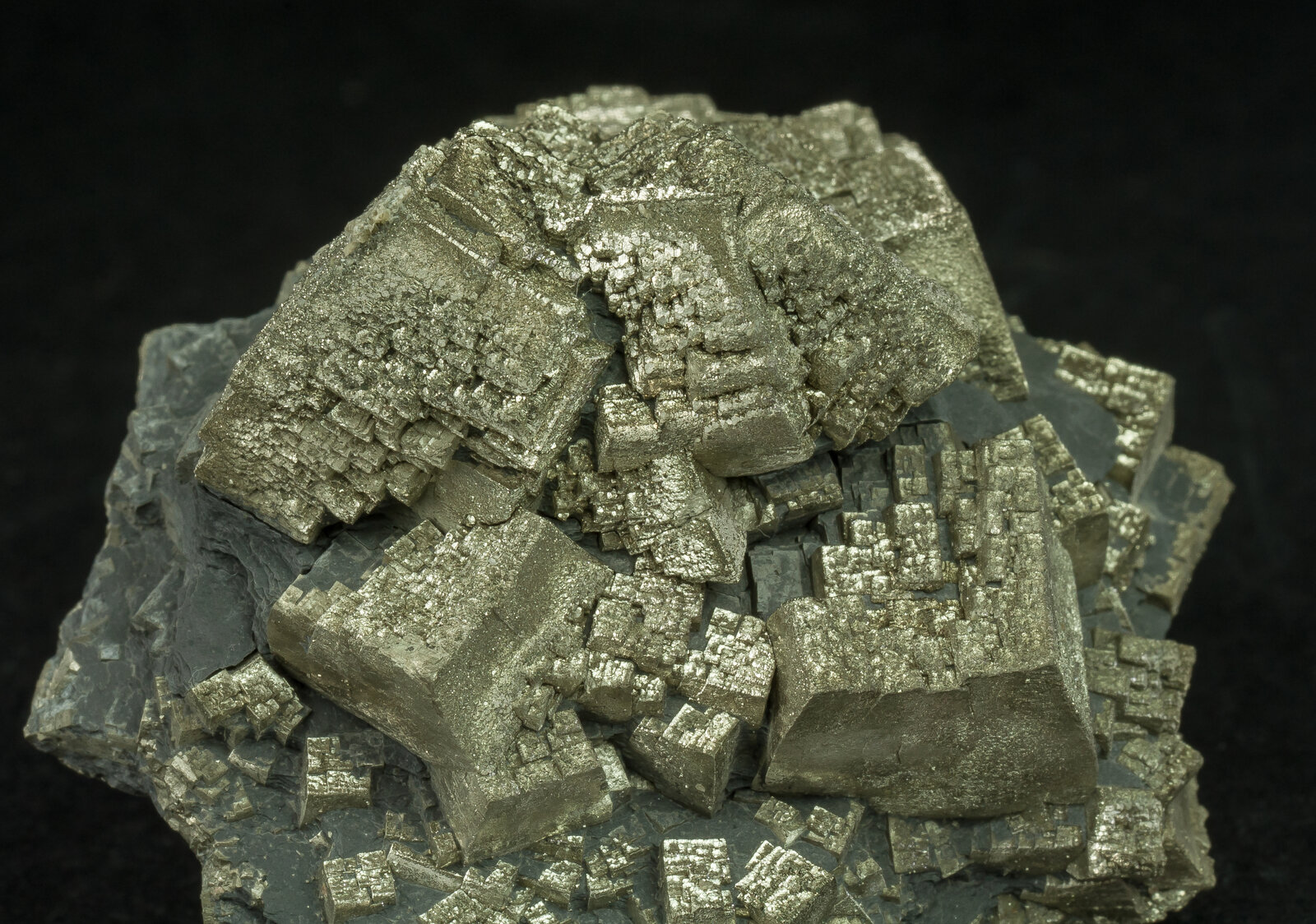 specimens/s_imagesAN5/Pyrite-EPC46AN5d.jpg