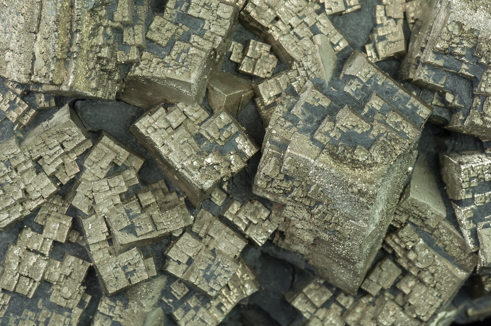specimens/s_imagesAN5/Pyrite-ETV86AN5d.jpg