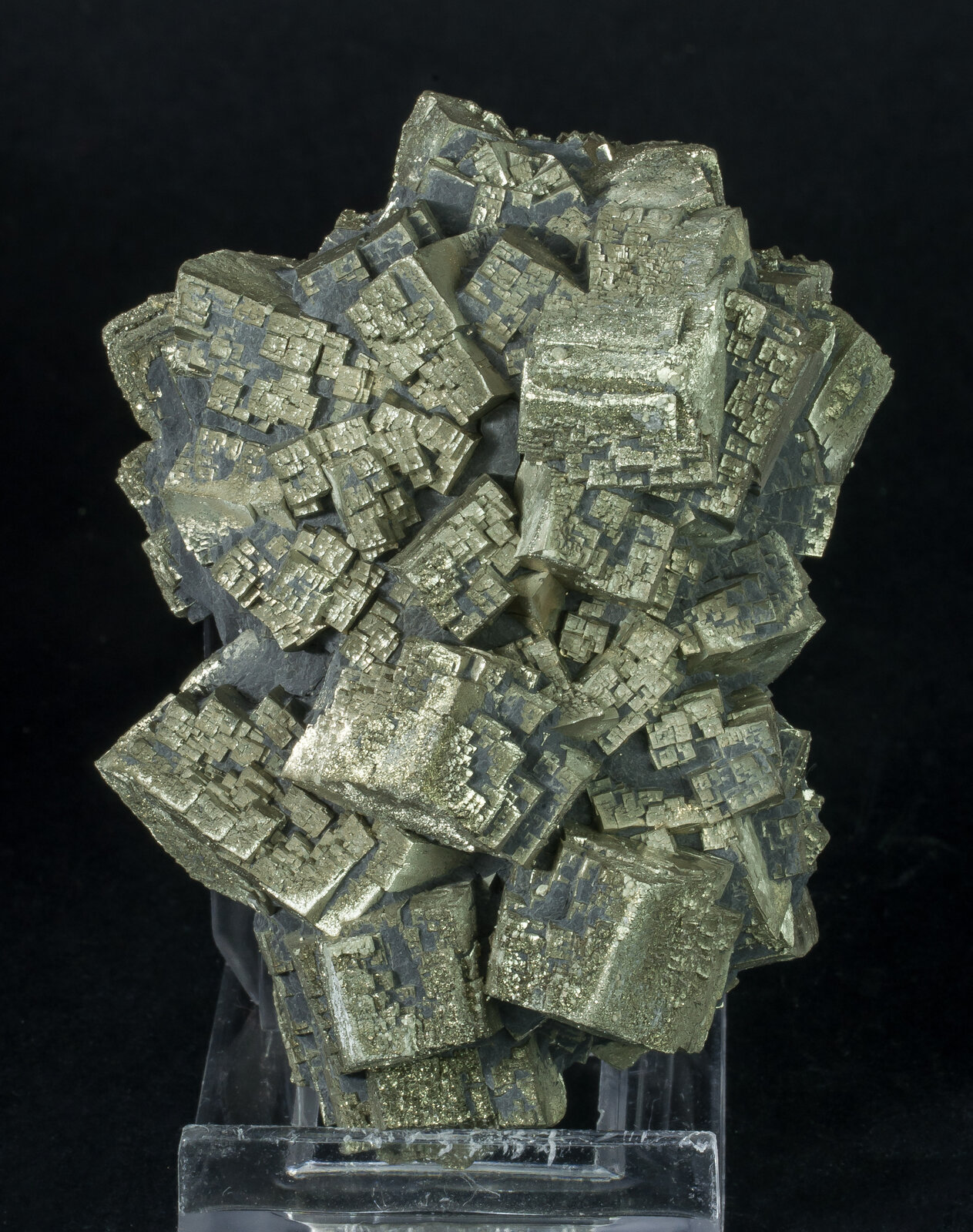 specimens/s_imagesAN5/Pyrite-ETV86AN5f.jpg