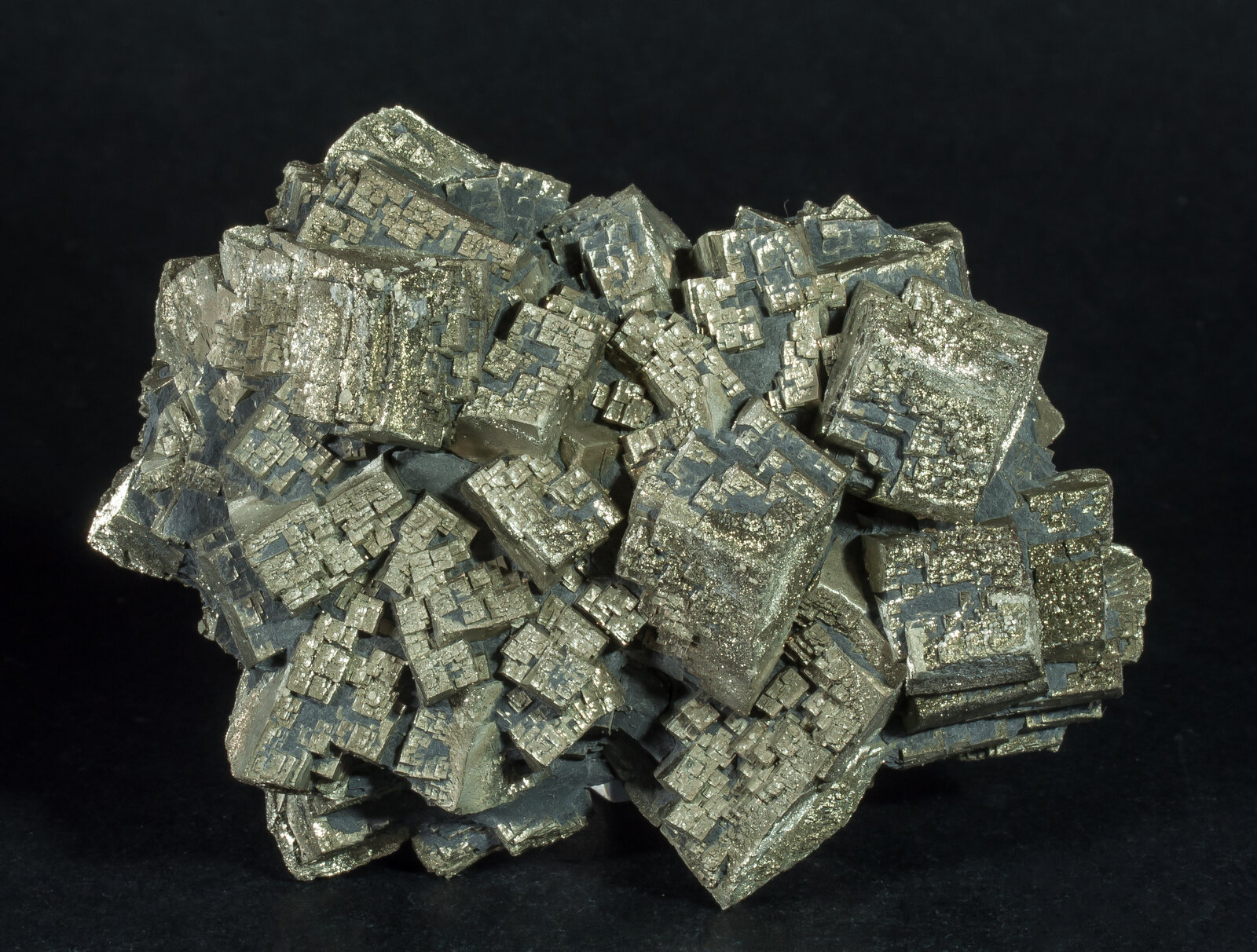 specimens/s_imagesAN5/Pyrite-ETV86AN5s.jpg