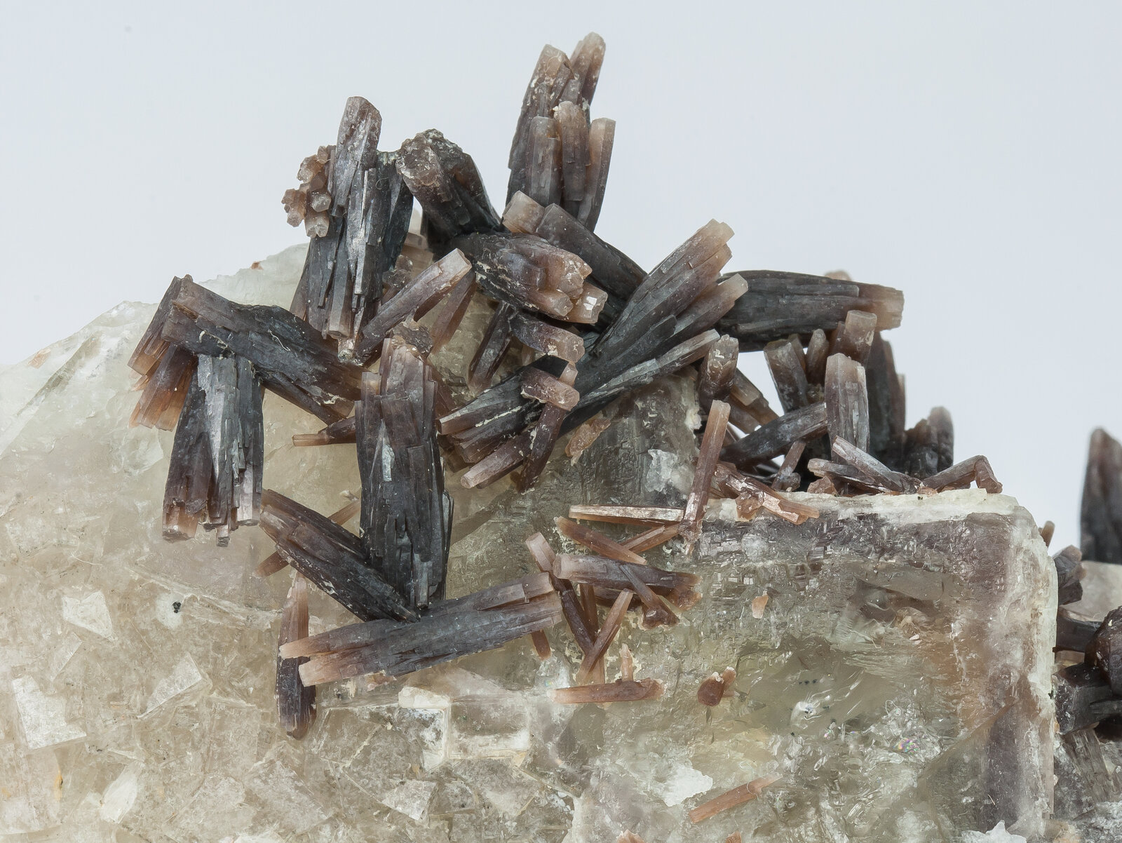 specimens/s_imagesAN5/Pyromorphite-EFR97AN5d.jpg