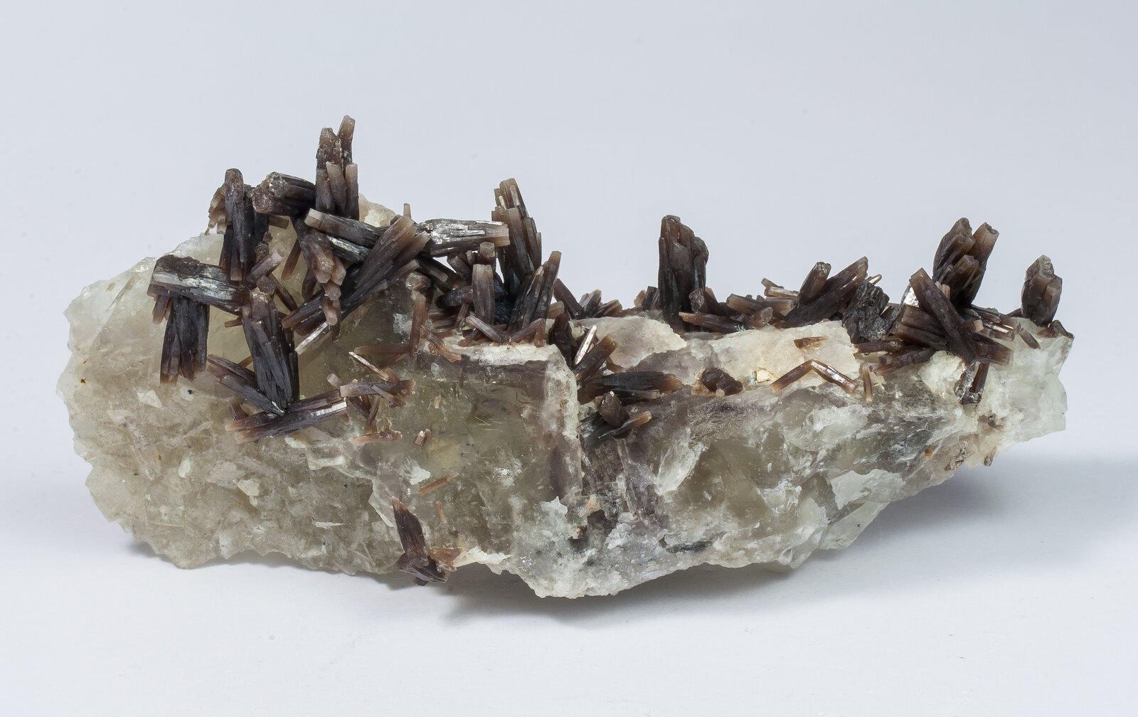 specimens/s_imagesAN5/Pyromorphite-EFR97AN5f.jpg