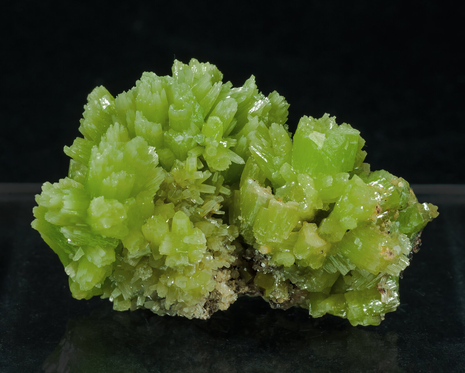 specimens/s_imagesAN5/Pyromorphite-JFD02AN5r.jpg